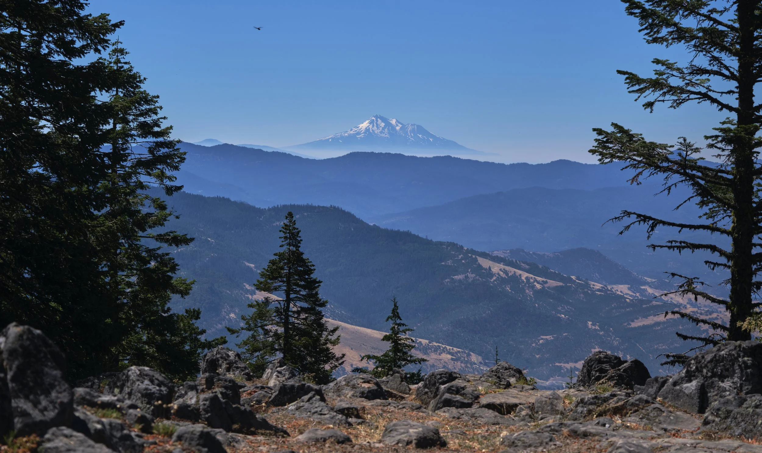 OREGON  GRIZ PEAK  _DSF6376.jpg