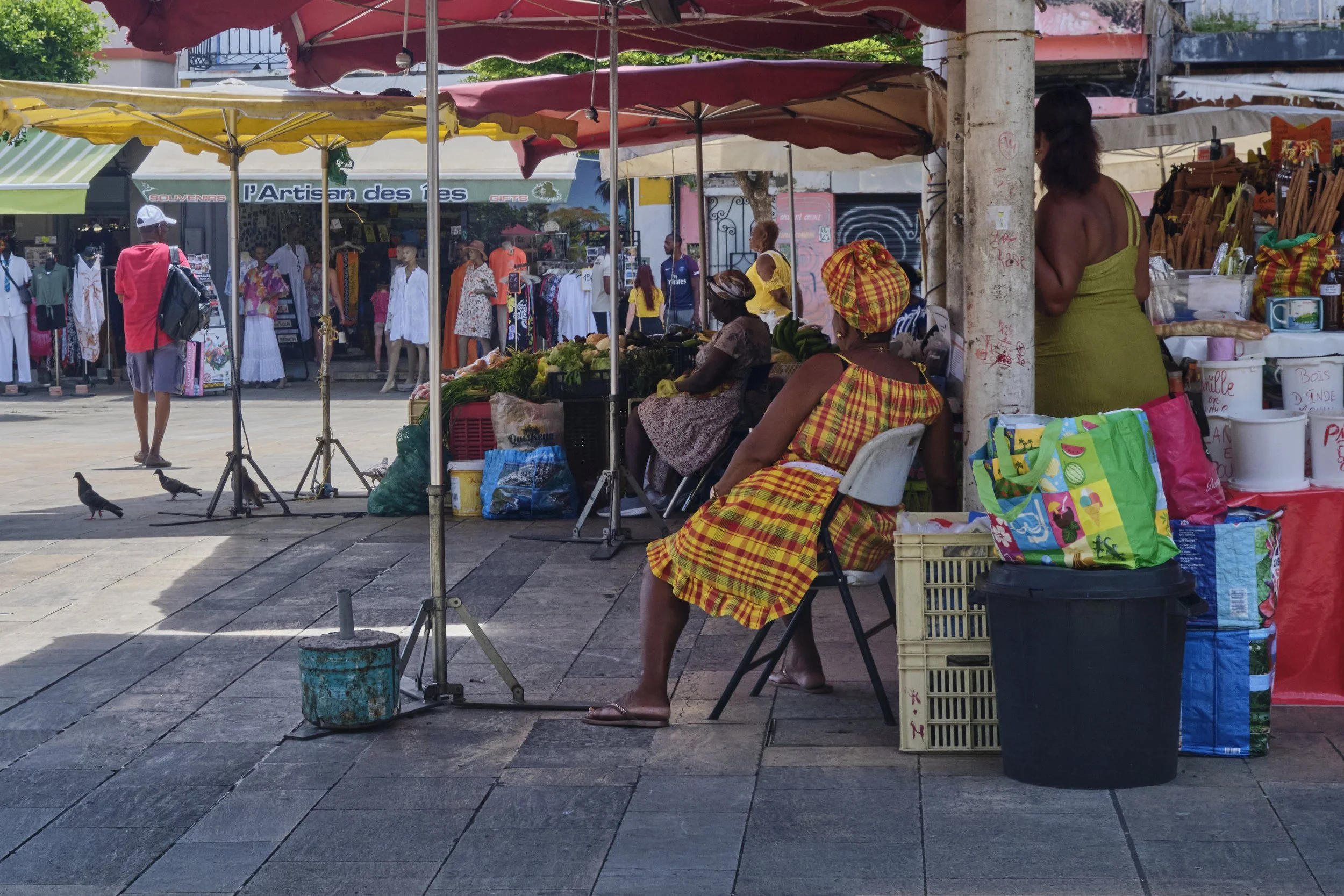 GUADELOUPE  GUADELOUPE  _DSF9811.jpg