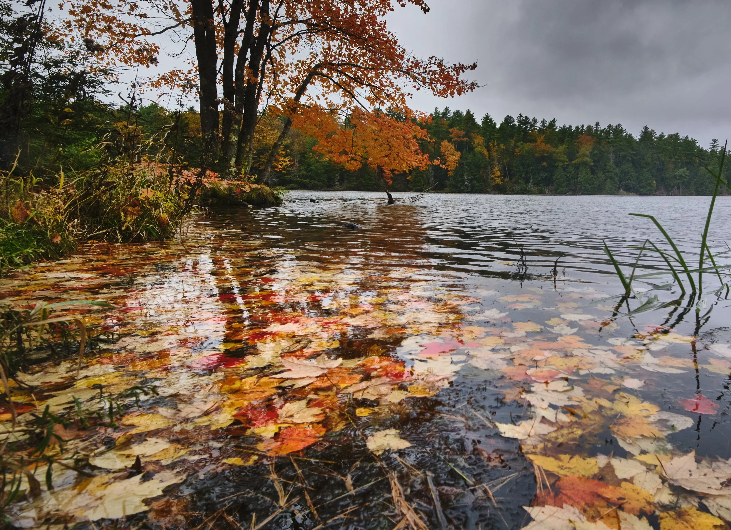 VERMONT  INDIAN BROOK  22-10-23S21 mm f--- 17743.jpg