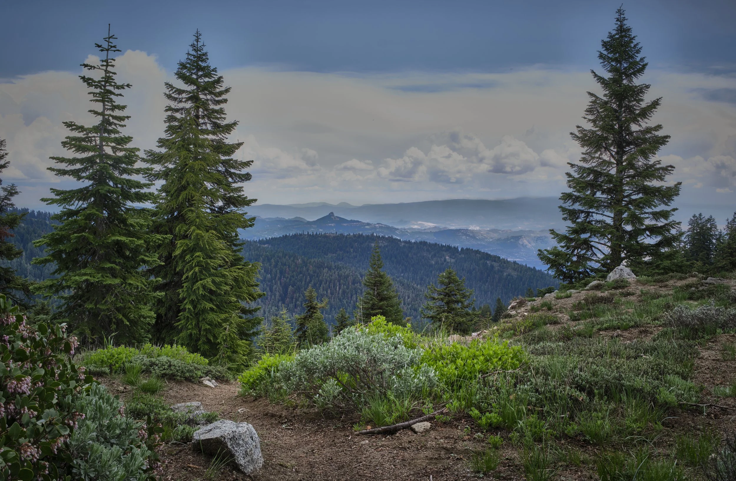 OREGON  LN MT ASHLAND PEAK HIKE.jpg