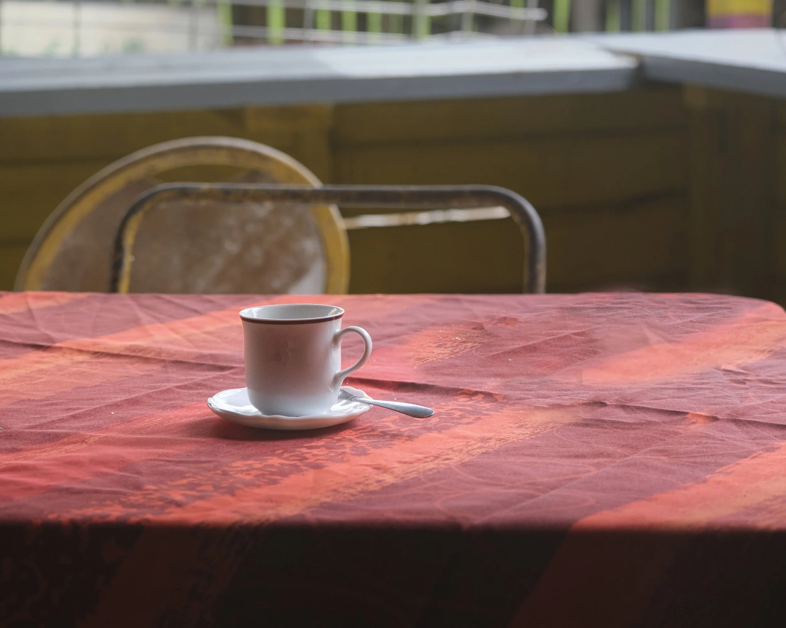 GUADELOUPE  LN GUADELOUPE CUP  _DSF9746.jpg