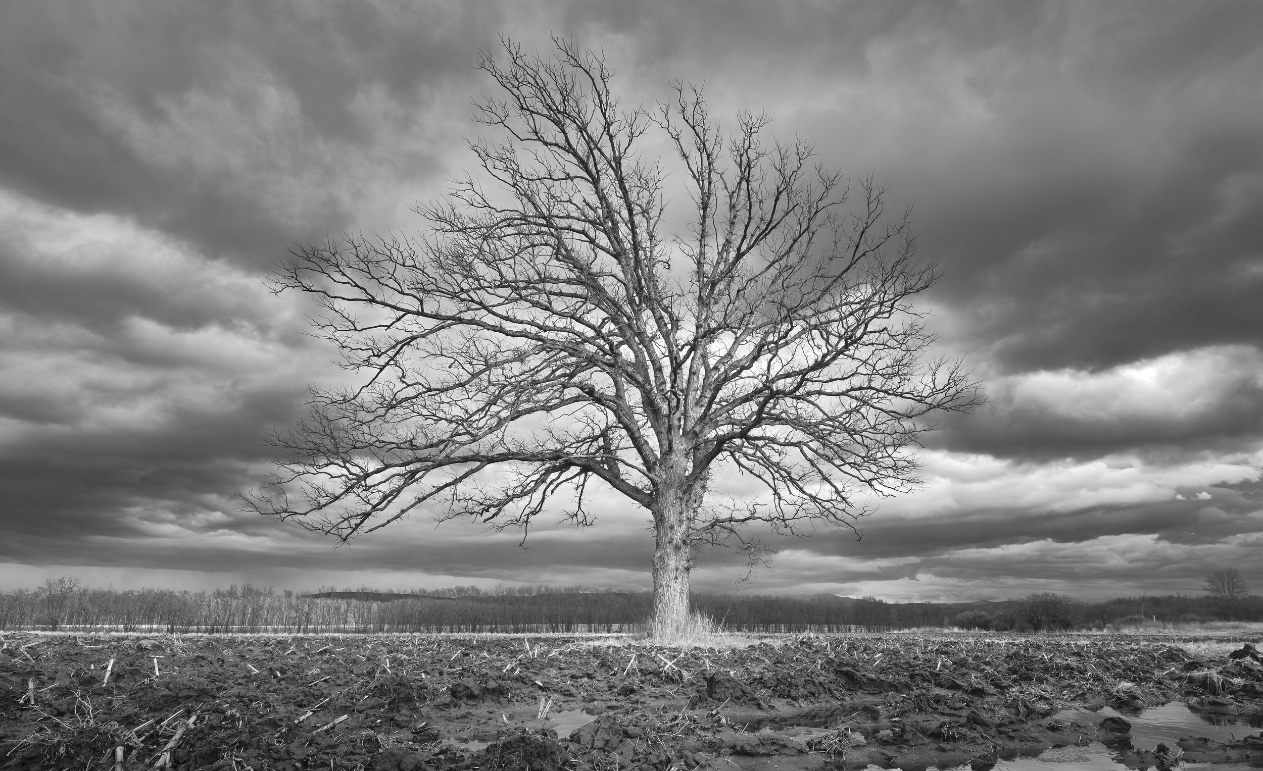 VERMONT  LN LAKE CHAMP _DSF7871.jpg