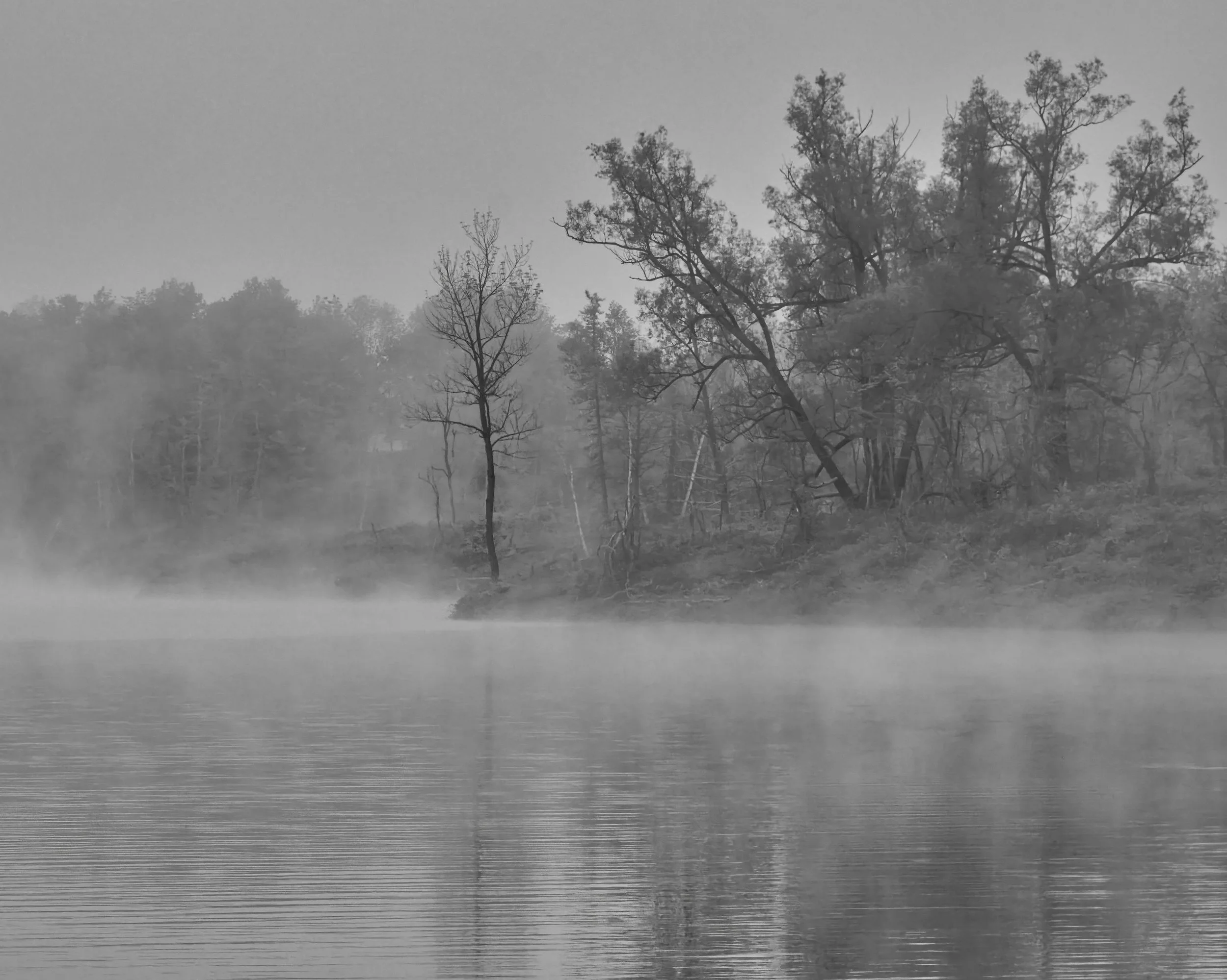 KB SPRING2 FOG IG POSTA    LN 2 WRIGHTVILLE  31-05-26SXF16-80mmF4 R OIS WR 1329.jpg