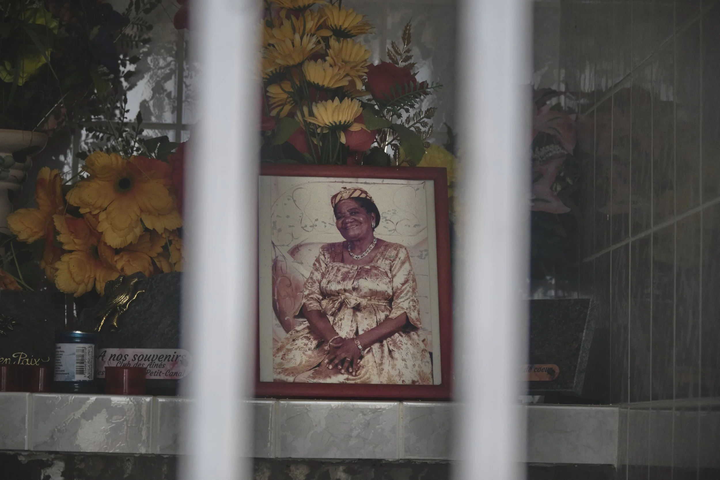 GUADELOUPE  GUADELOUPE  _DSF9750.jpg