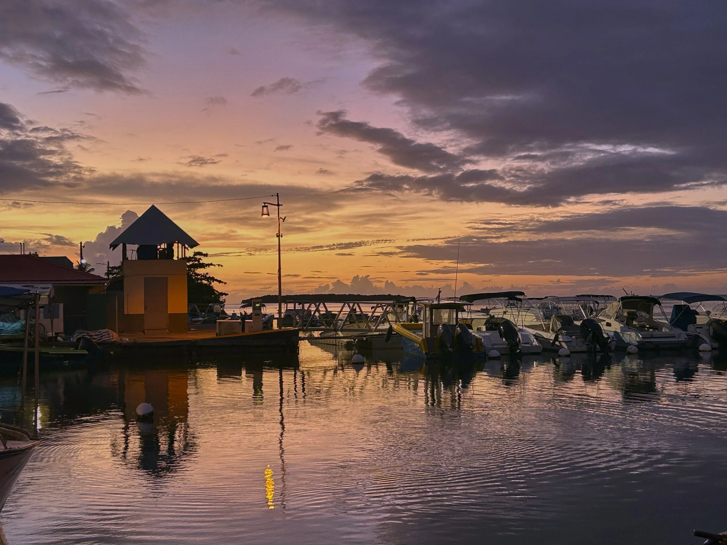 GUADELOUPE  GUADELOUPE  HEIC IMG_9403.jpg