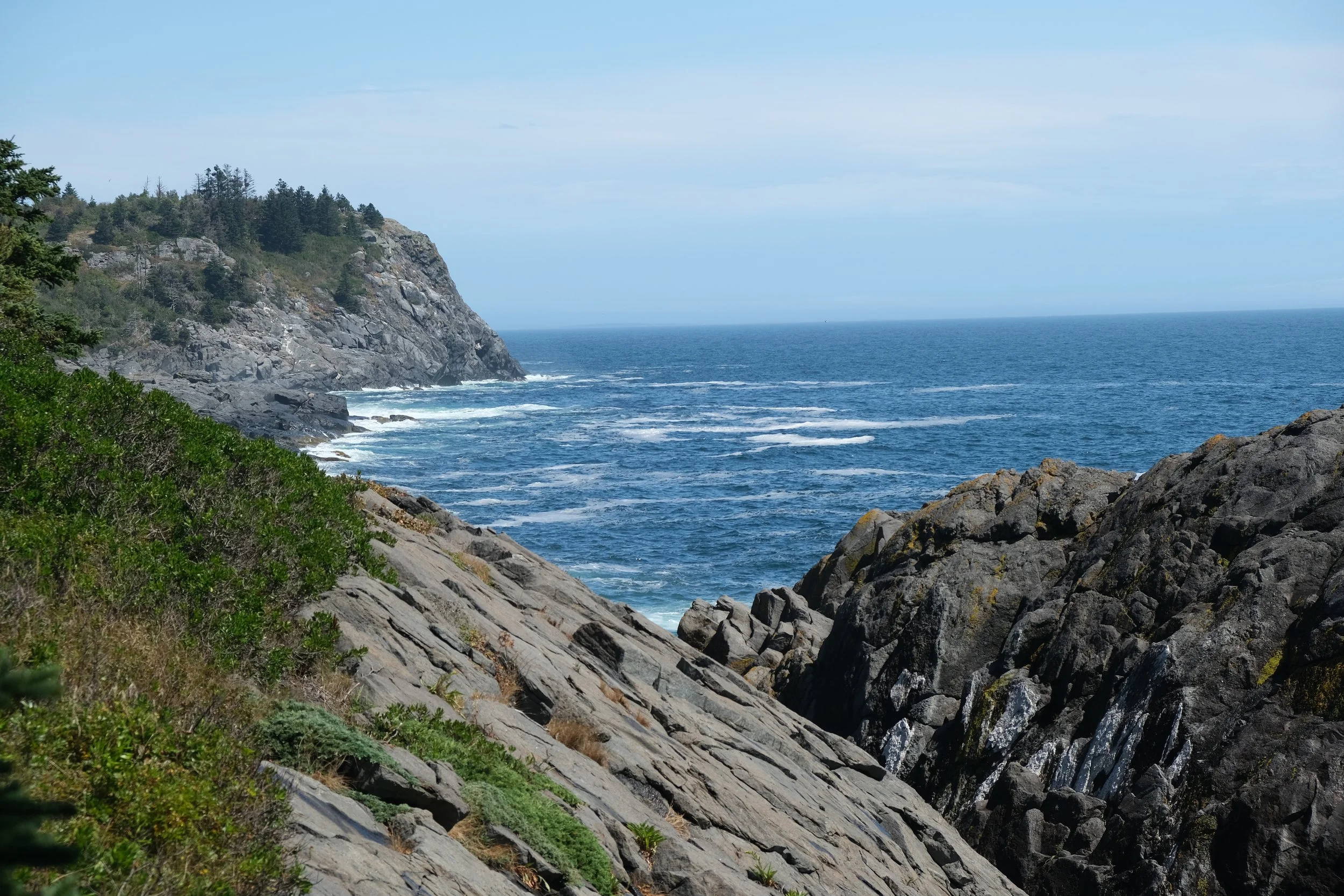 DSCF9868.JPG