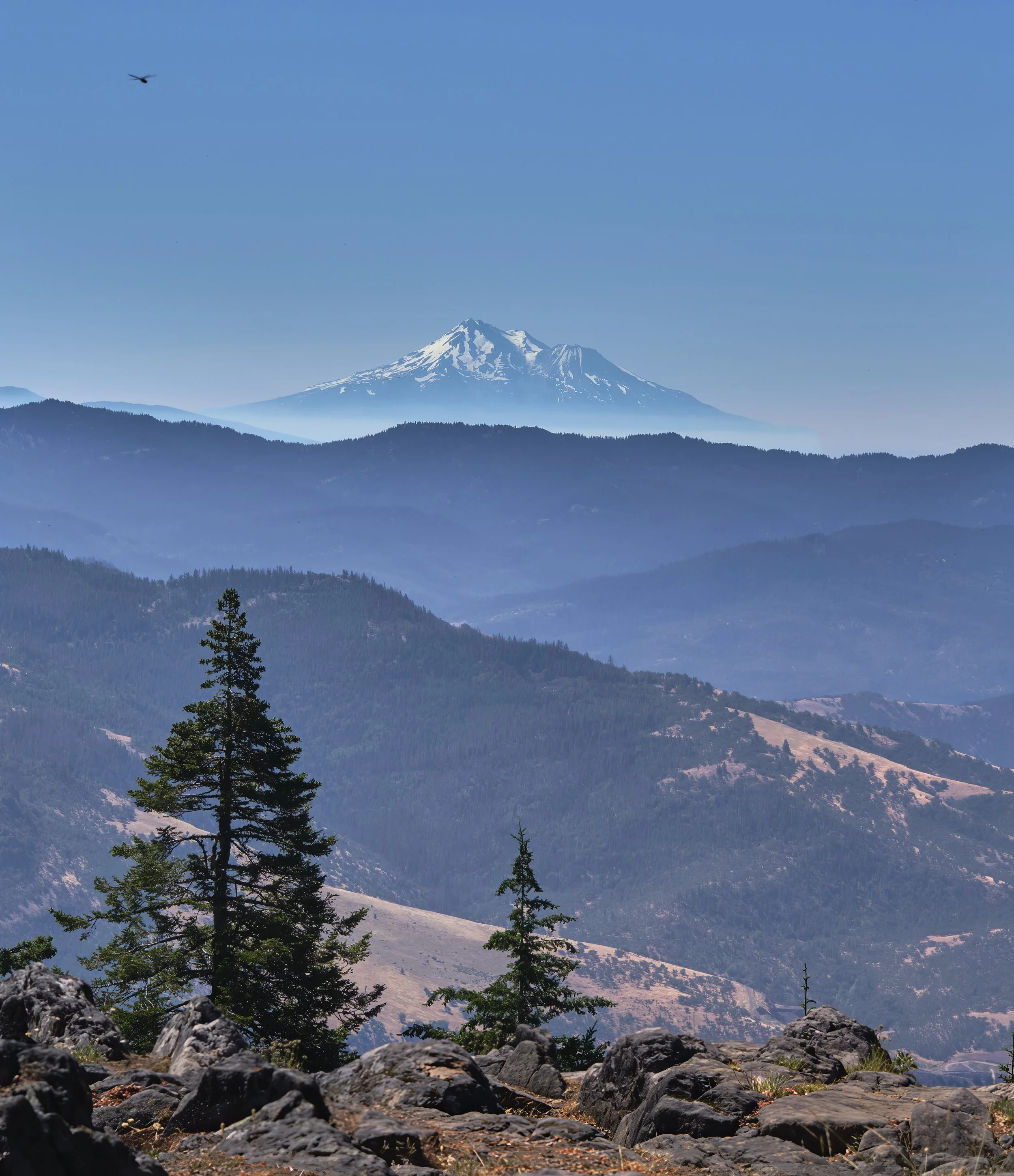 OREGON  PHOTO AI GRIZ PEAK  _DSF6376-topaz  04122025 v2-sharpen-denoise-sharpen-focus-sharpen.jpg