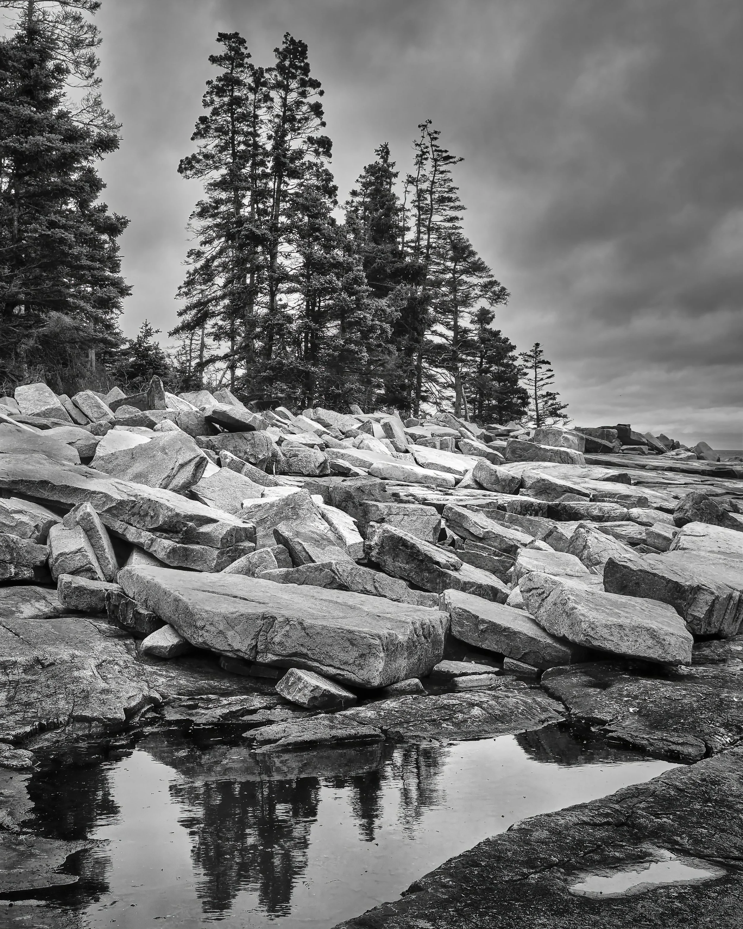 WONDERLAND  LN2 BNW MDI   _DSF2480 1.jpg