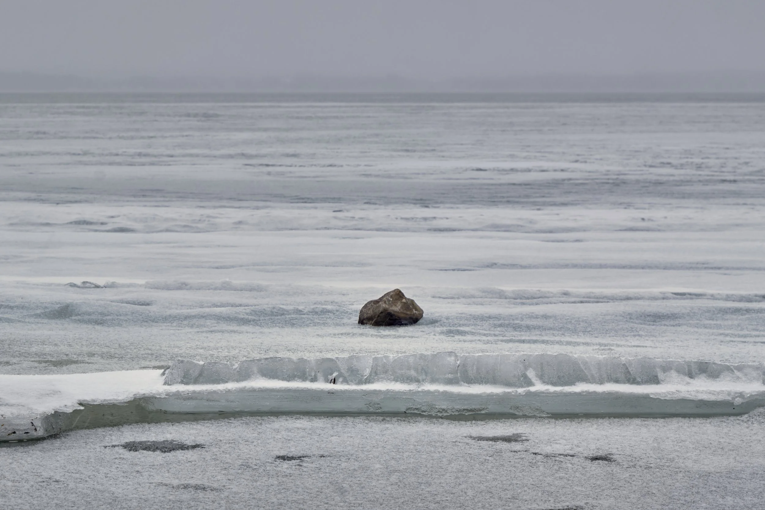 VERMONT  LN CAMEL CHAMP _DSF7953.jpg