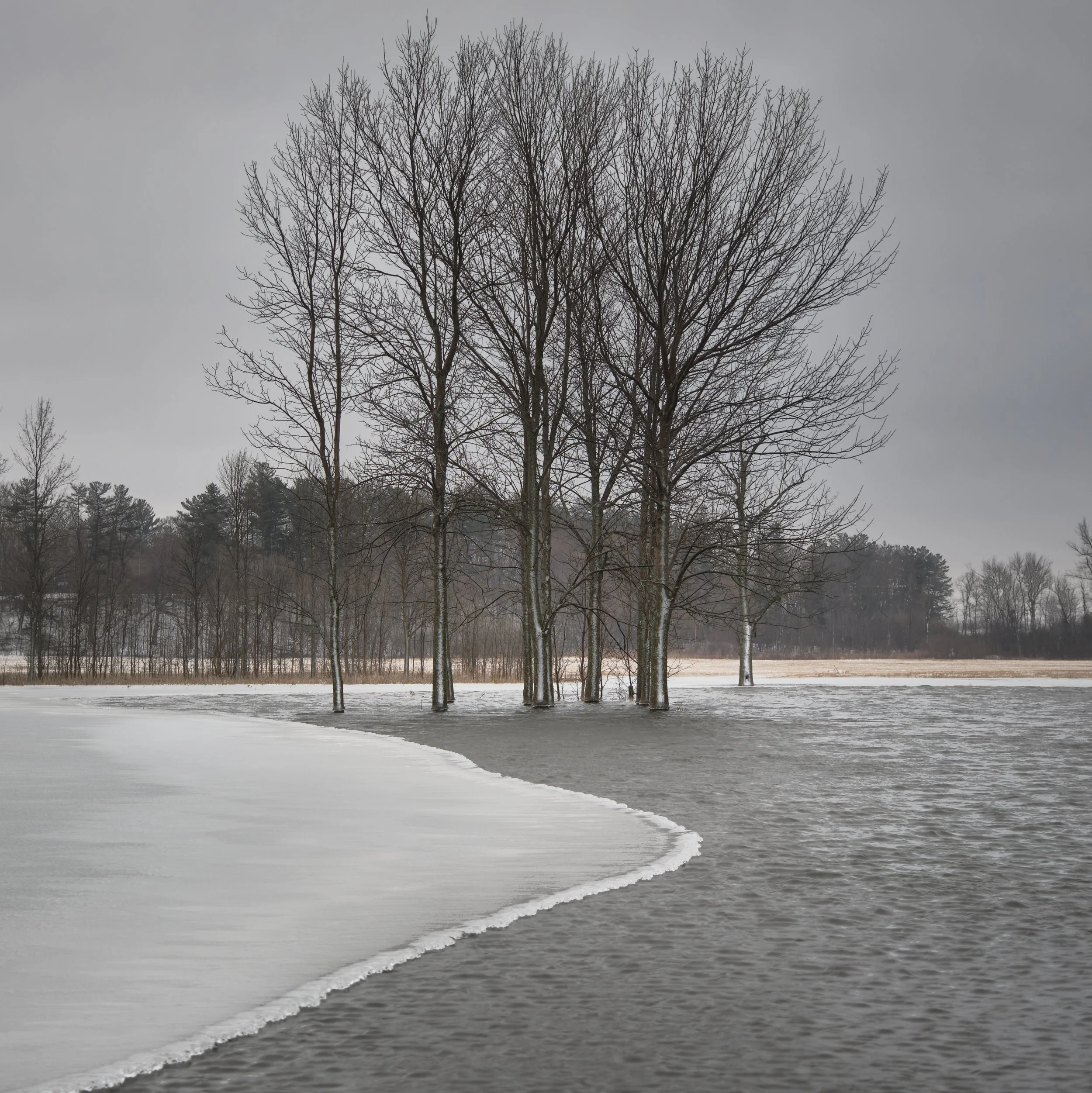 VERMONT  SHELBURNE ICE WA  XF16-80mmF4 R OIS WRX-H214-01-23 12364.jpg
