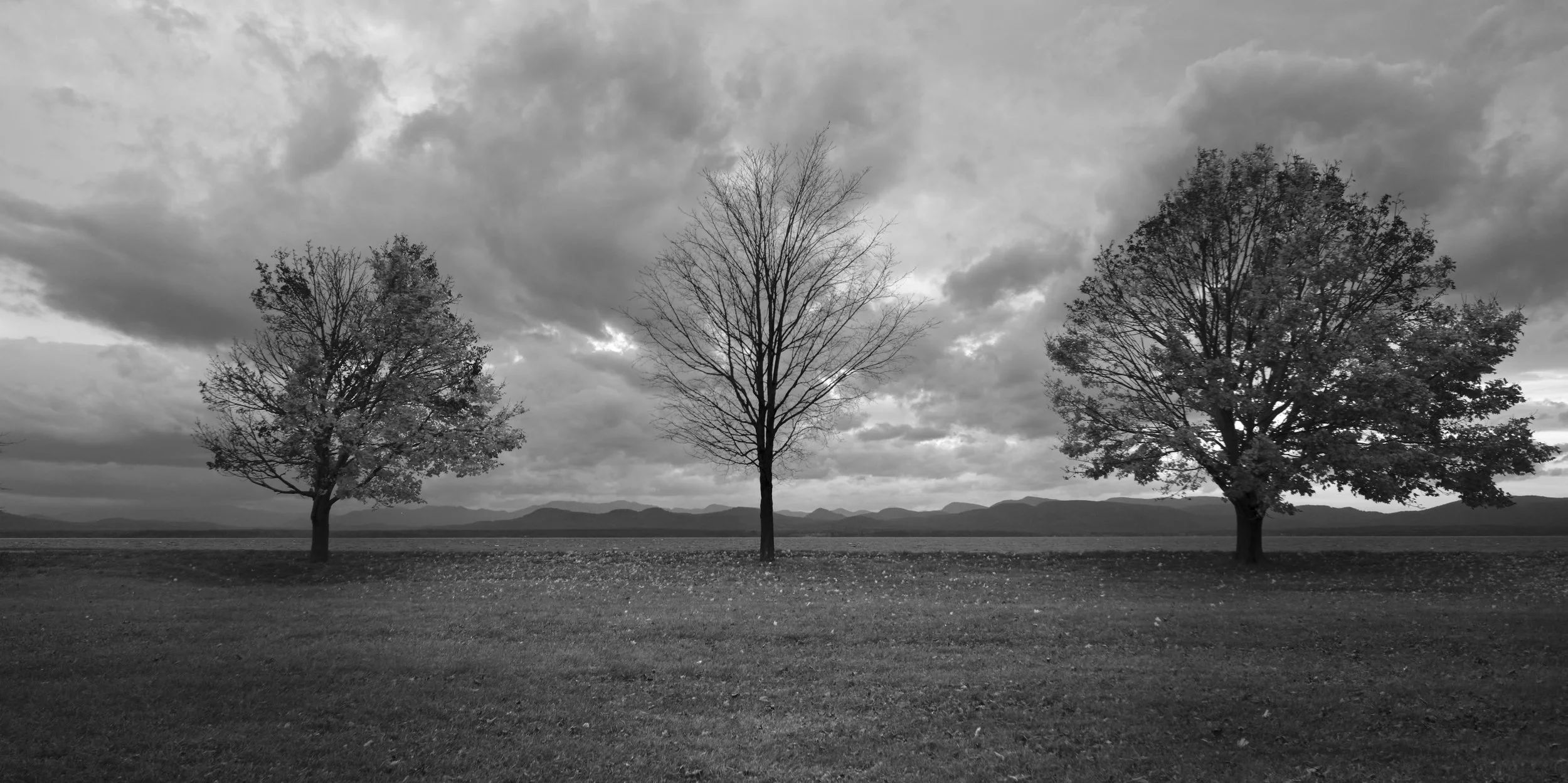 VERMONT  SHELBURNE  05-11-22 Fujifilm Fujinon XF14mmF2.8 R11046 1.jpg
