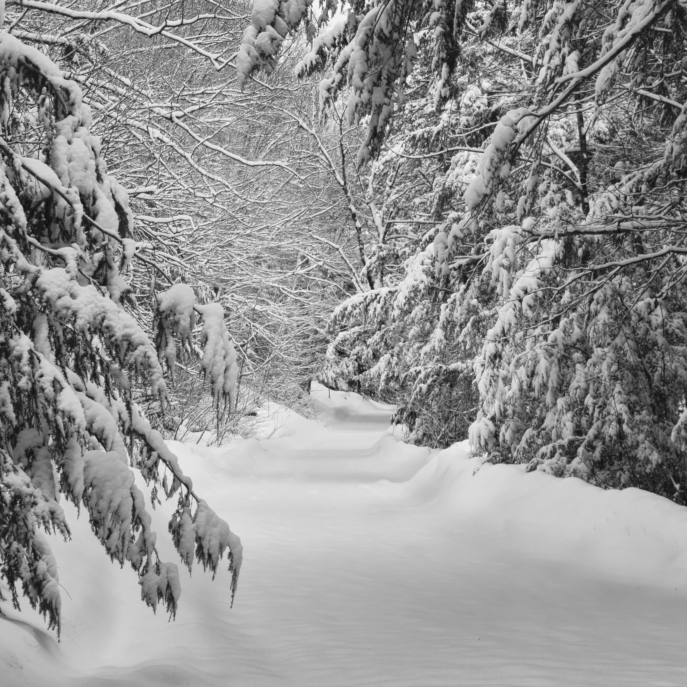 VERMONT  LN NEW ROAD NEW ROAD _DSF7658.jpg