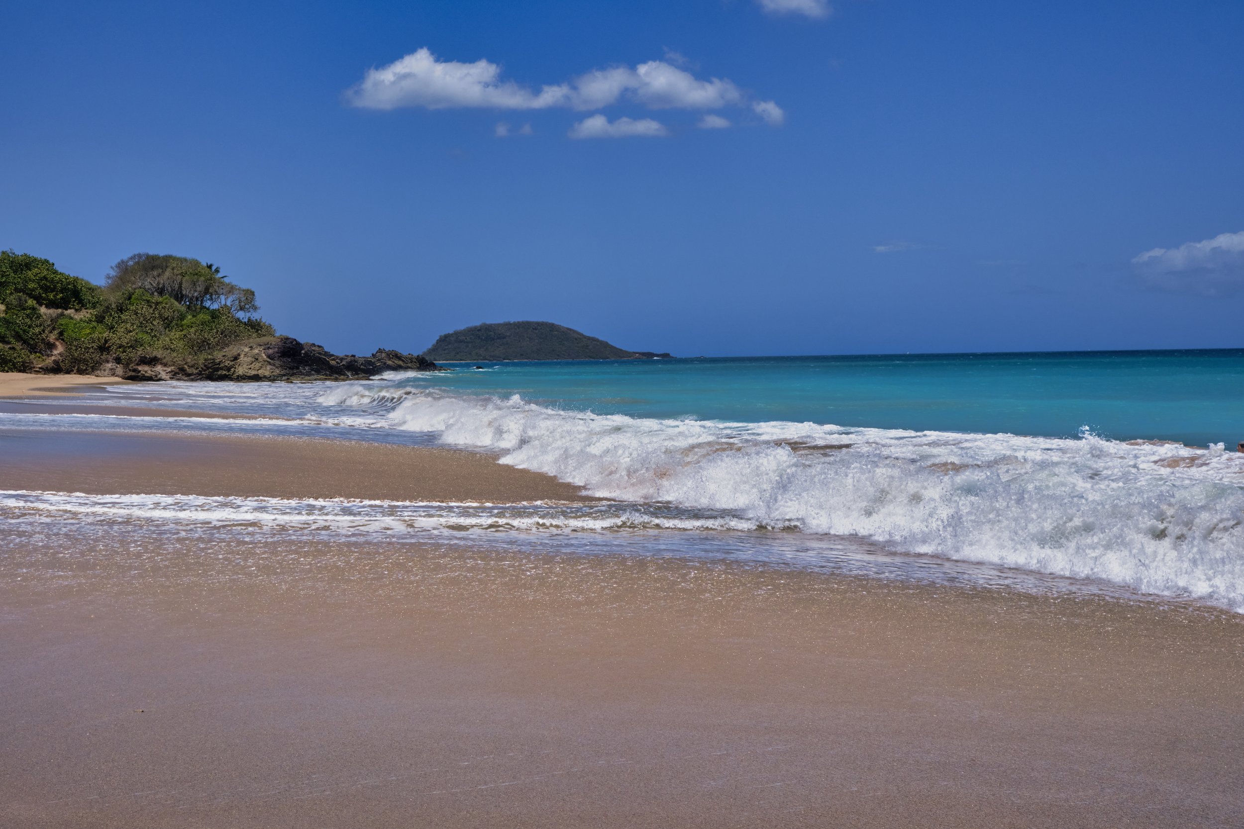 GUADELOUPE  GUADELOUPE BEACH1 _DSF9861.jpg