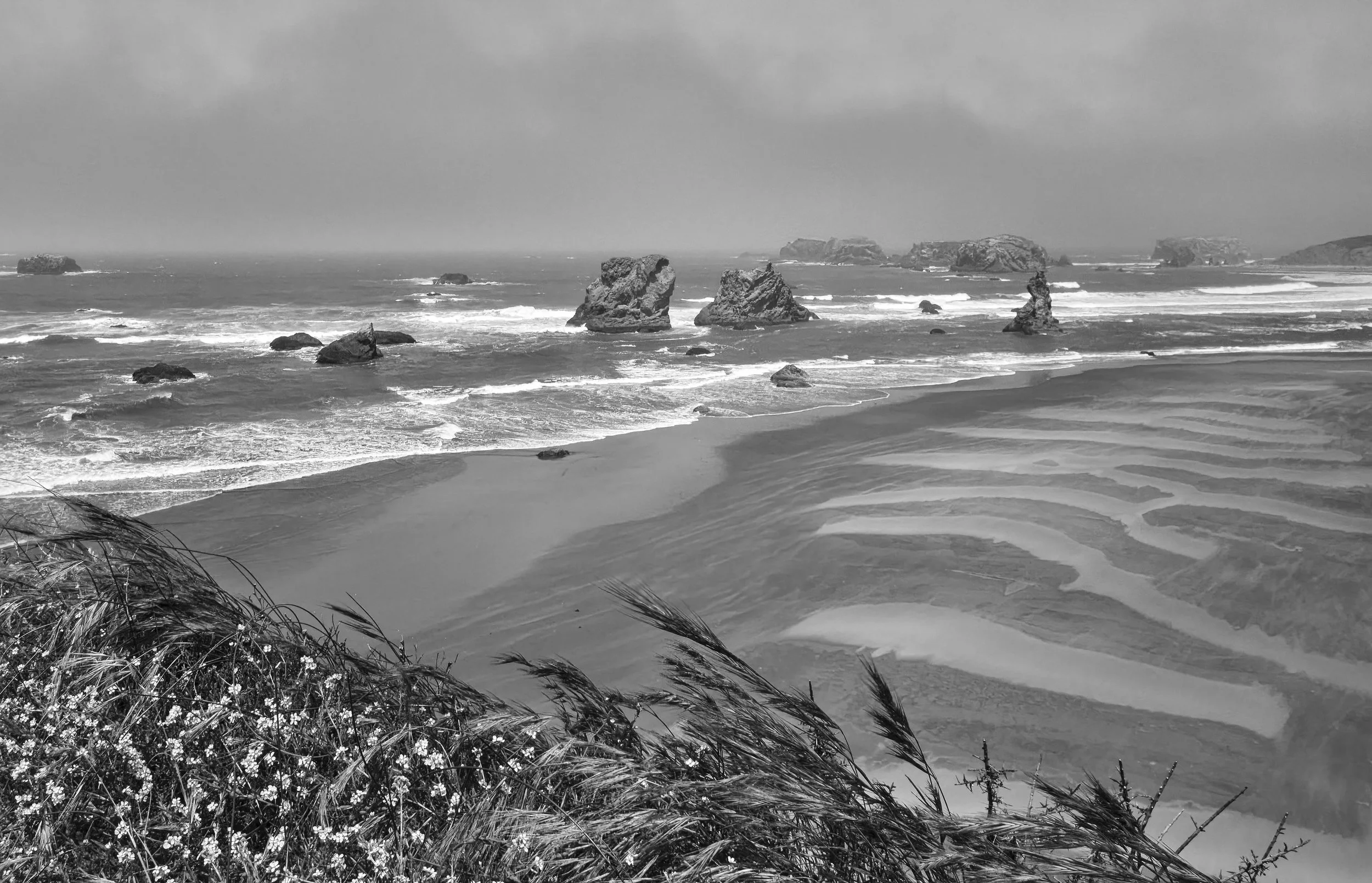 OREGON  LN COAST DAY 3  03-07-23XF16-80mmF4 R OIS WR 16753 1.jpg