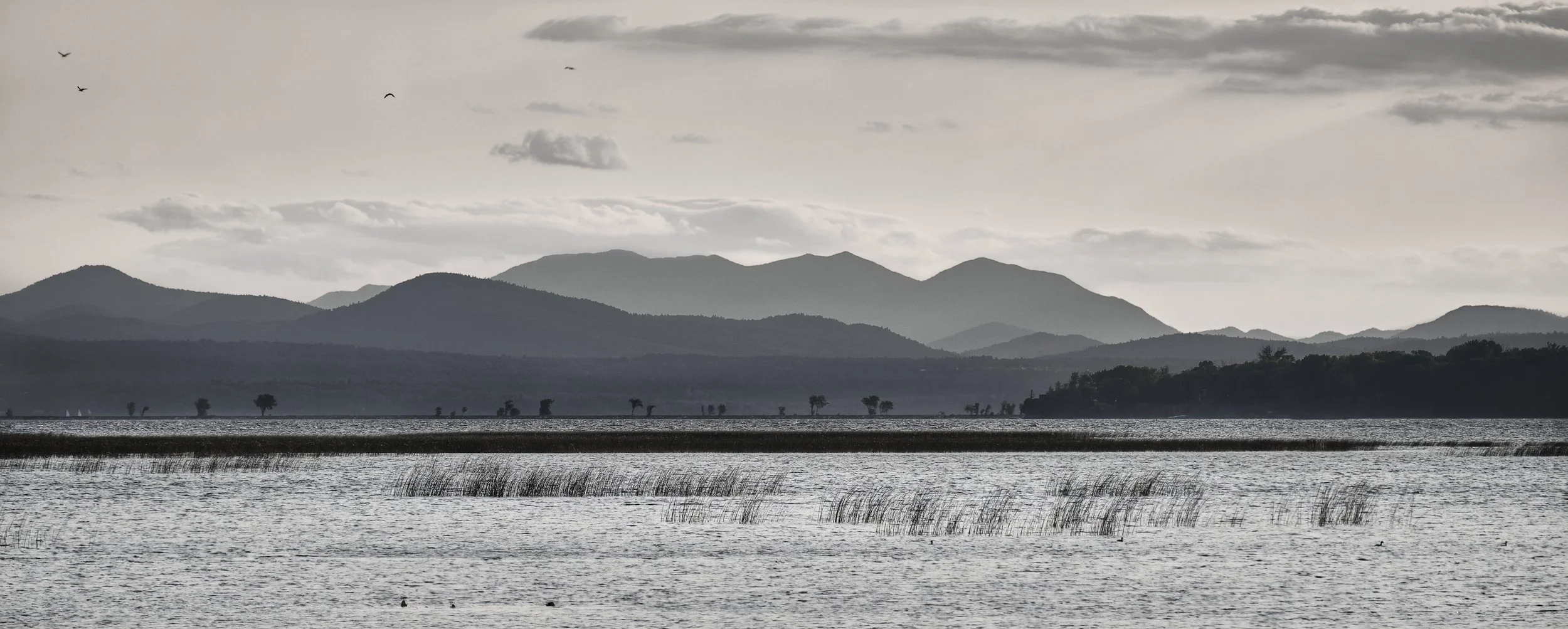 VERMONT  02 fs 2021-09-11 19-45-48 (B,Radius11,Smoothing2).jpg