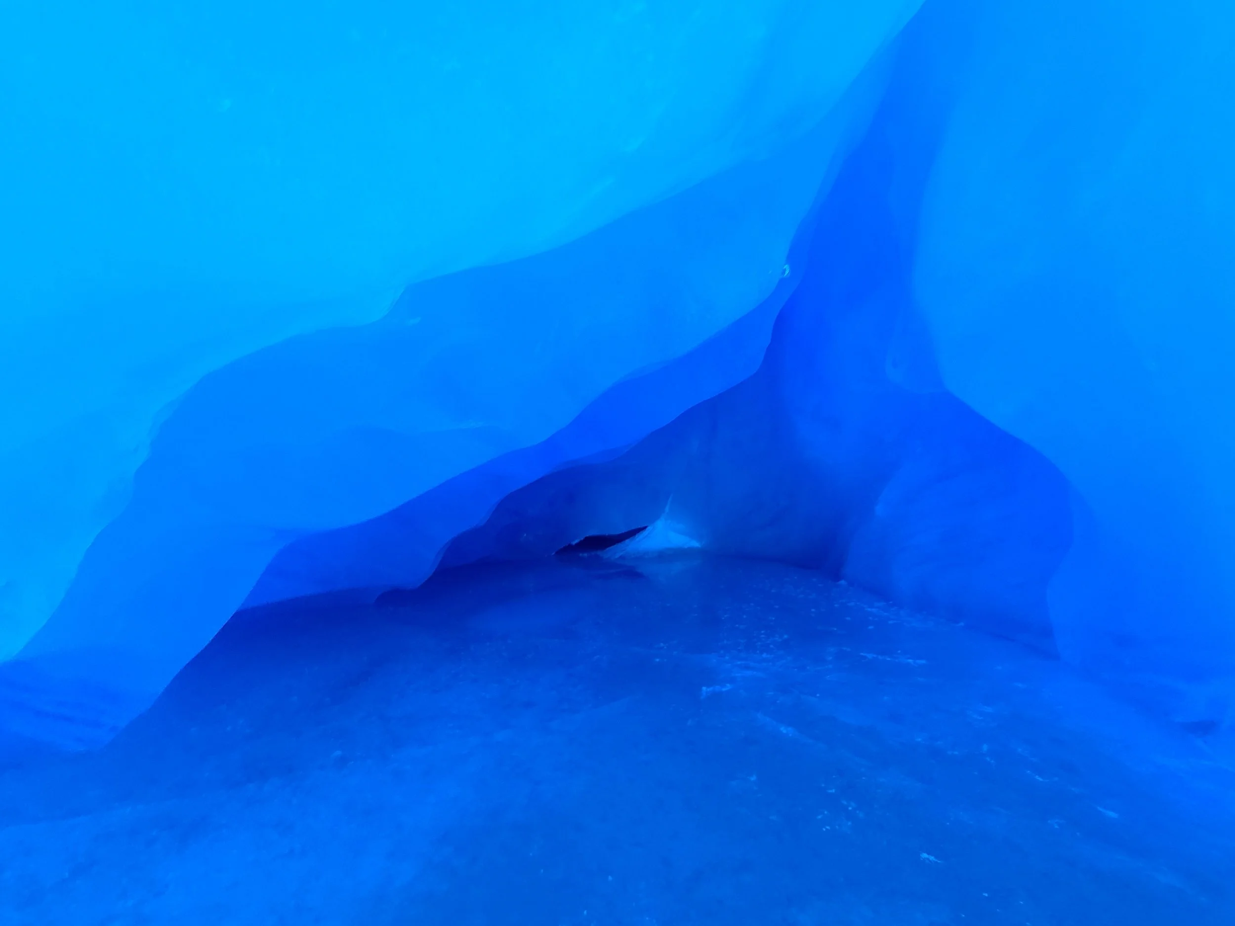 20210223_114720.jpg