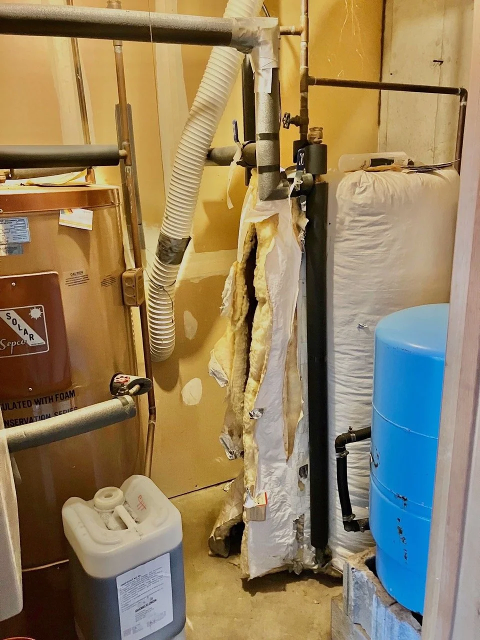 The Seattle Times | Local news, sports, business, politics ...