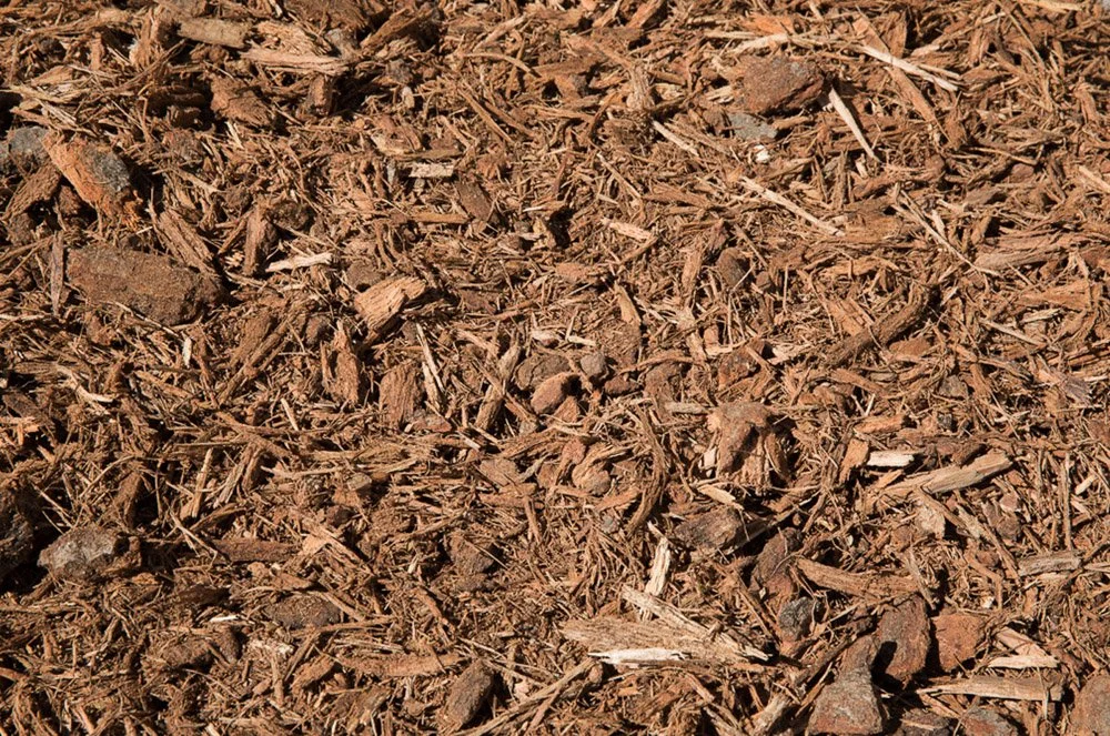 Oak_Mulch_Mavroff.jpeg
