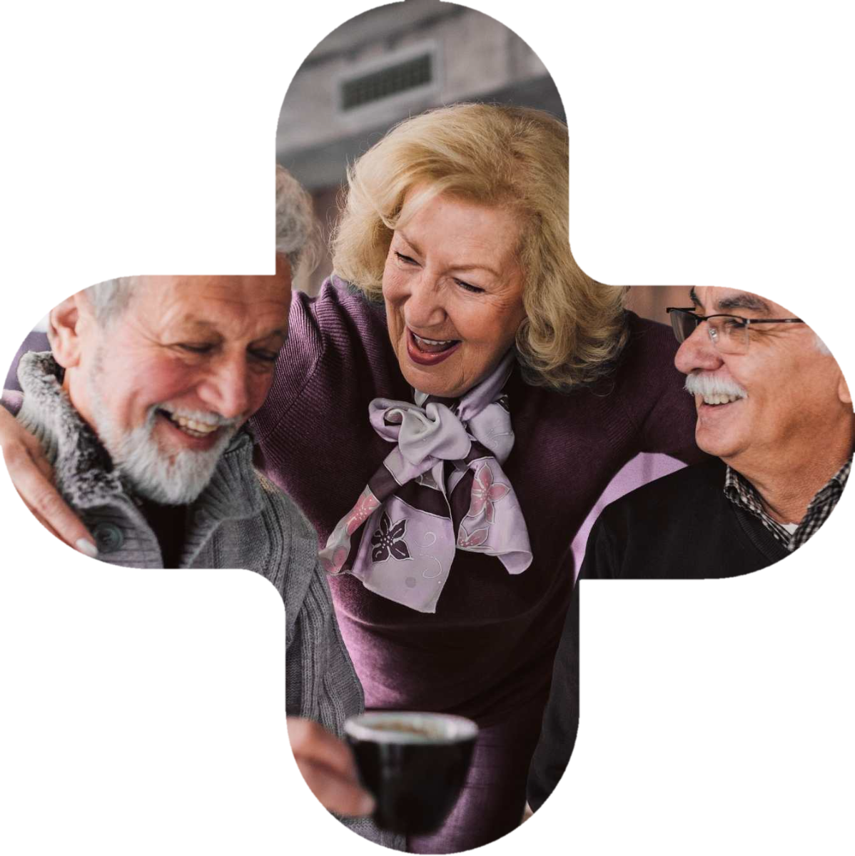 Retirement Village Pluss Logo