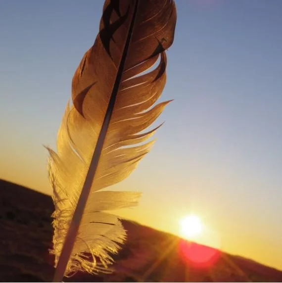 2025 course dates &amp; fees