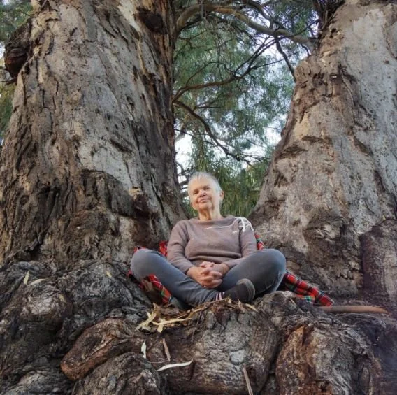 Upgrade your Diploma