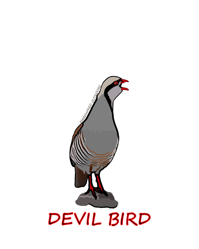 Devil_Bird_2.png