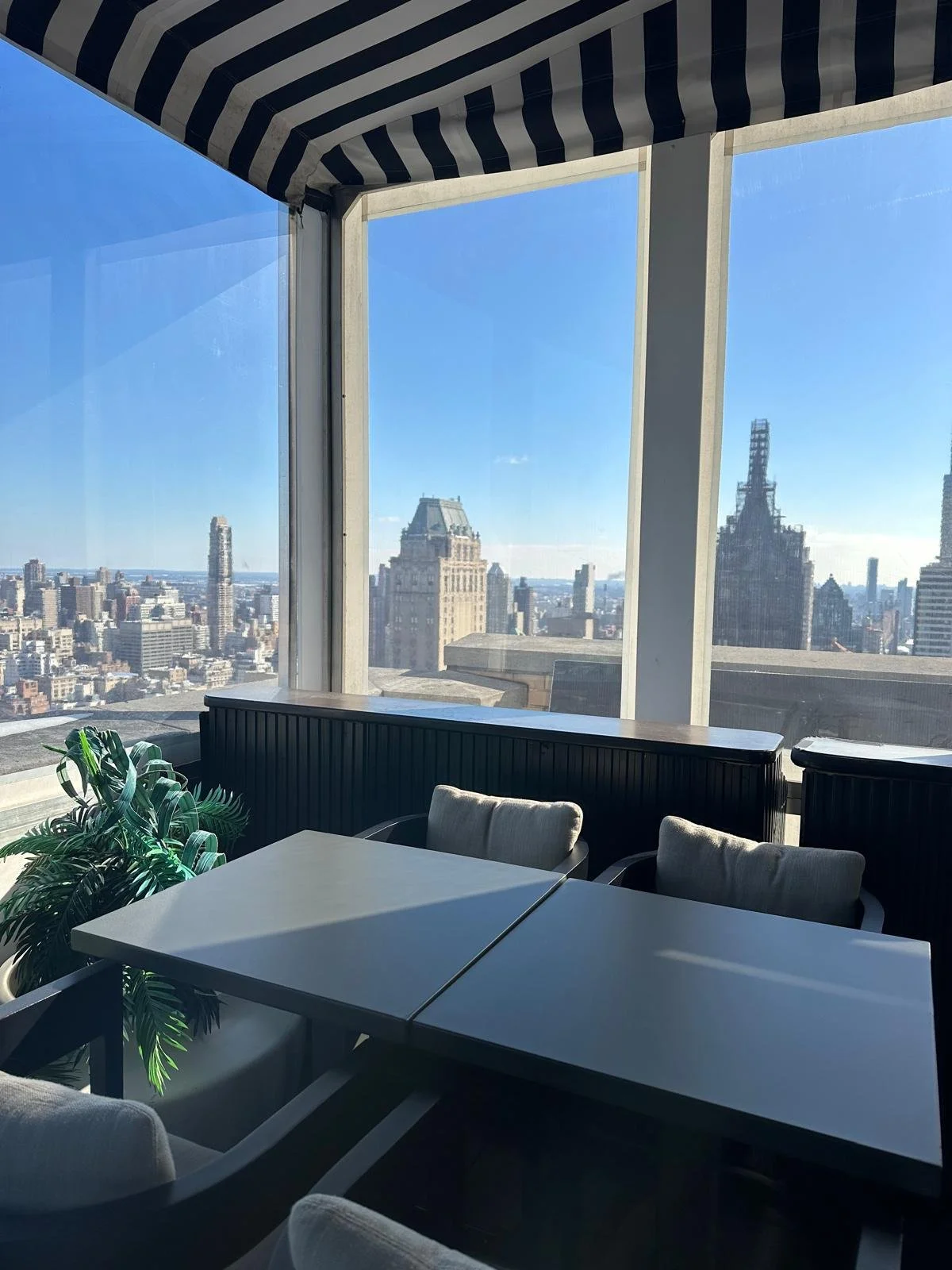 PHOTO-2026-02-05-21-57-22 2.jpg