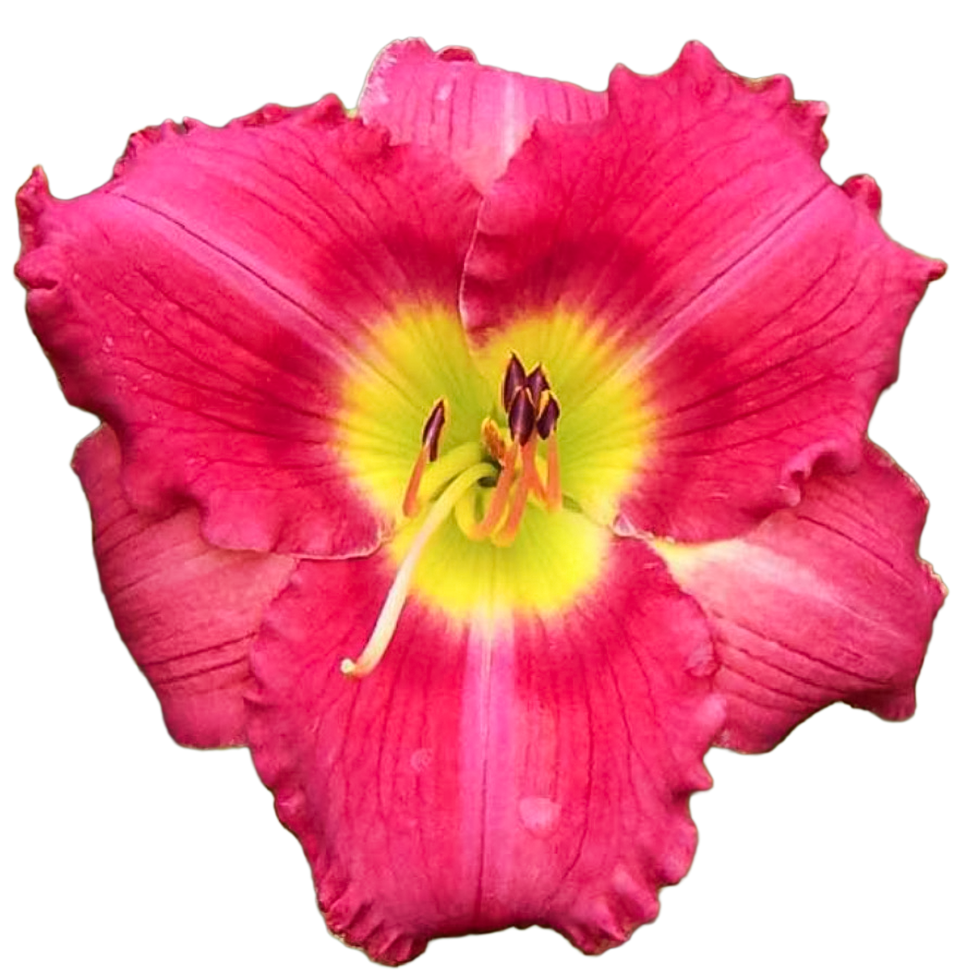 Hopi-jewel.png