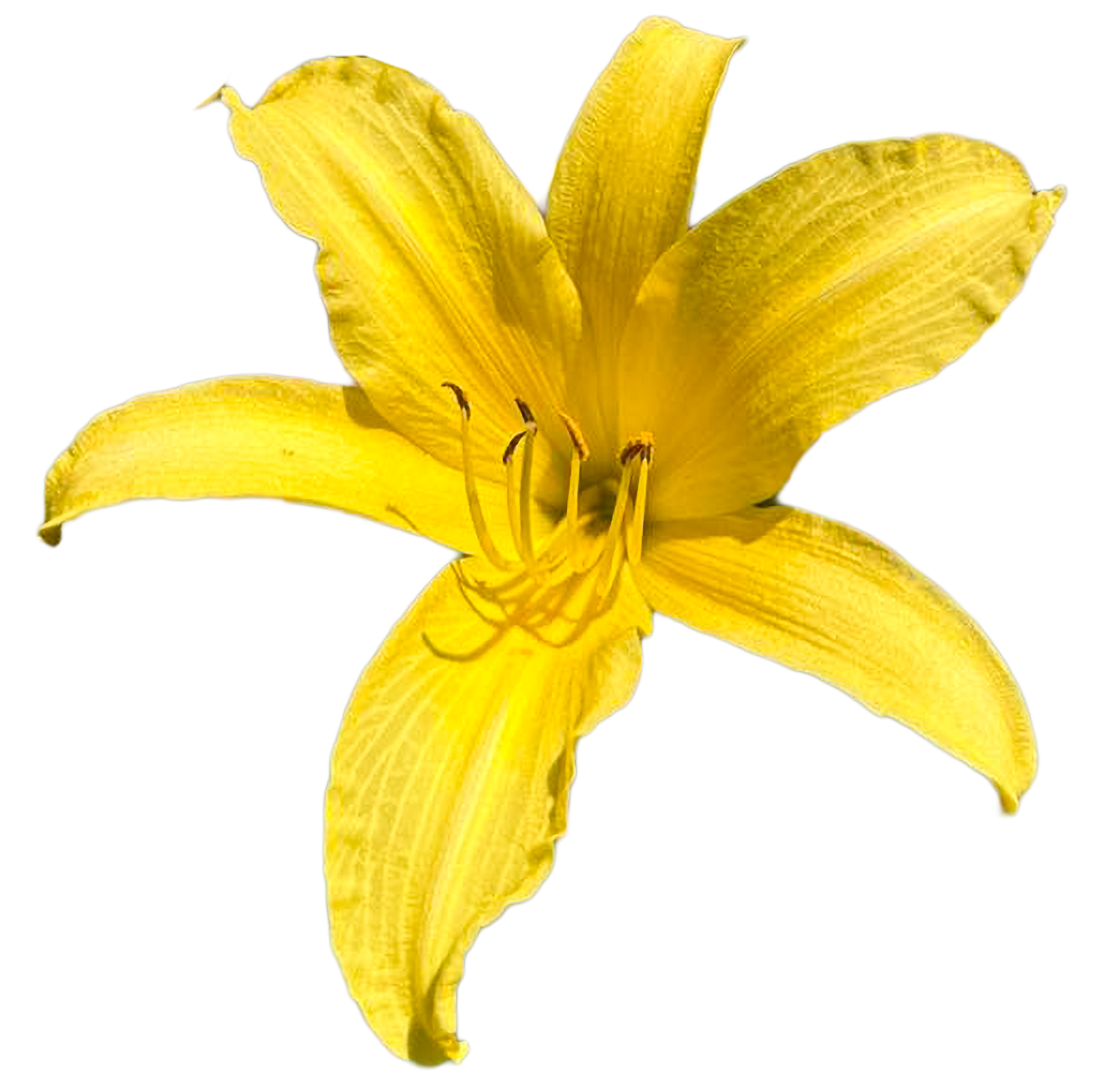 Hyperion