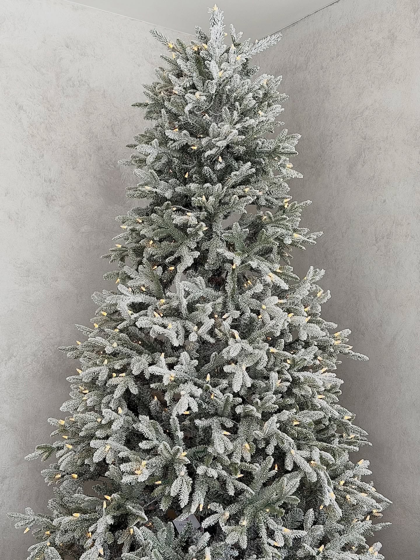 tis the season 💫💫 soja said festive and so delivered, too obsessed