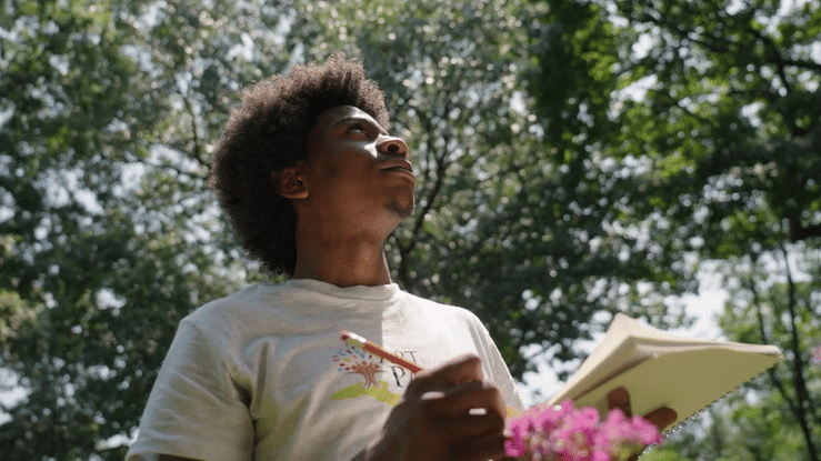 Art In The Park (Promotional)