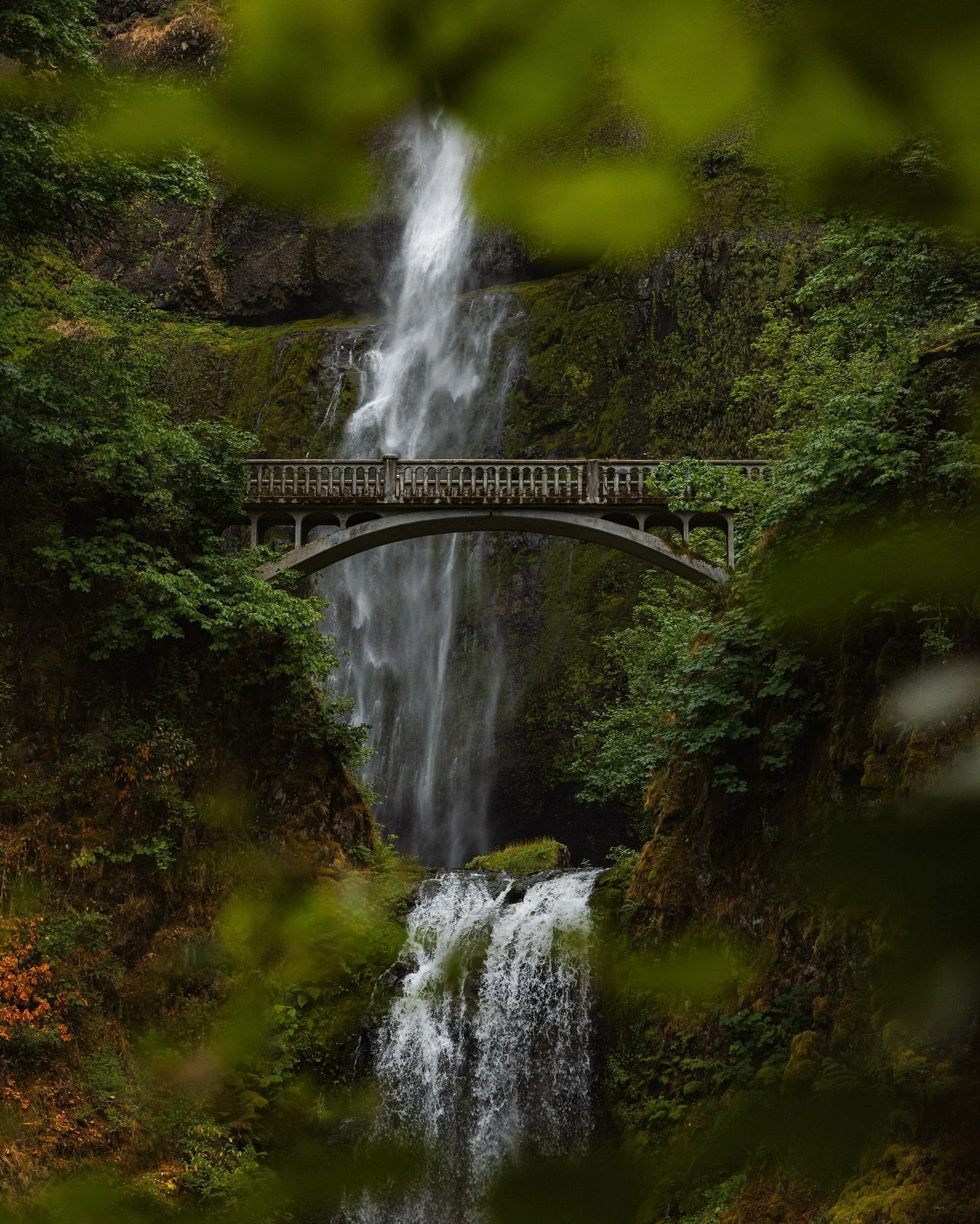 The lust for more // It&rsquo;s not a true PNW trip without chasing a few of those unreal, moody, jaw-dropping waterfalls. When you&rsquo;re in Washington, you might as well hop down to Oregon, especially for an Oregon staple &mdash;how could you not