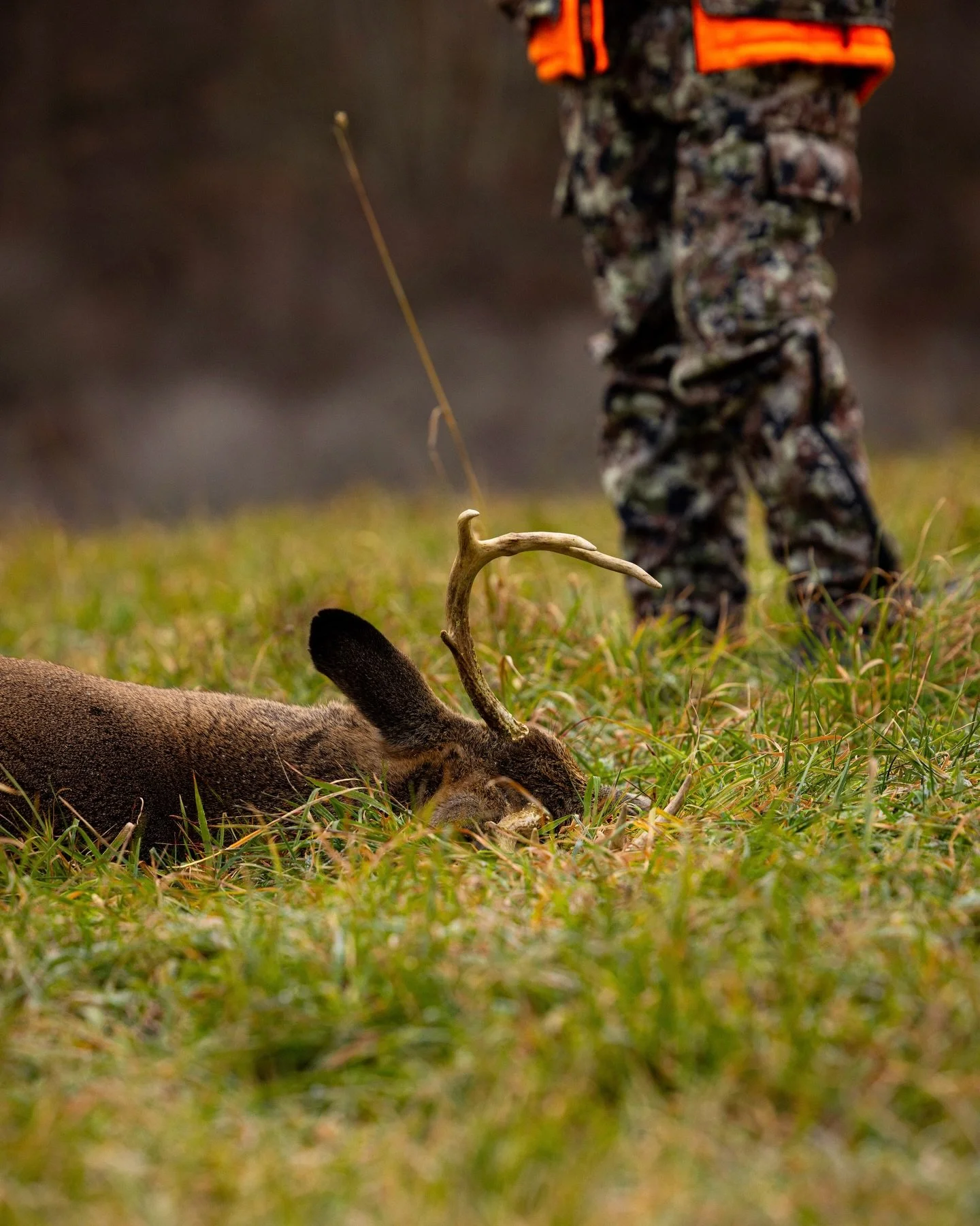 Tis&rsquo; the season // Happy Thanksgiving folks! A time to be thankful and a time to look back at this season spent in the woods of Ohio and New York. I didn&rsquo;t harvest anything myself this year, but I was grateful to be there as the people cl