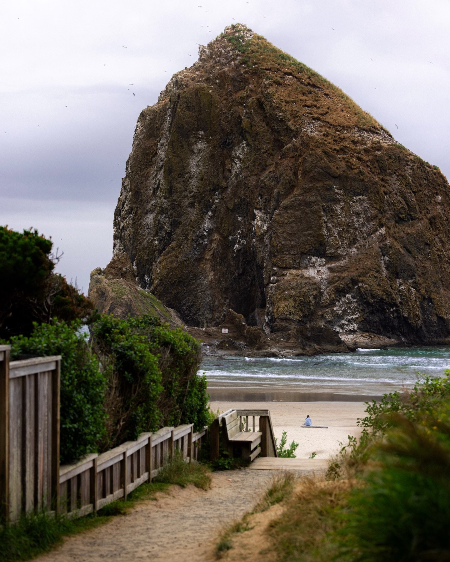 The feeling of vintage // Cannon Beach always carries a vintage feeling, no matter the year, every photograph I see of this place seems to pull you back in time 🎞️ 

There&rsquo;s something about the muted light, the haze, and the rhythm of the coas