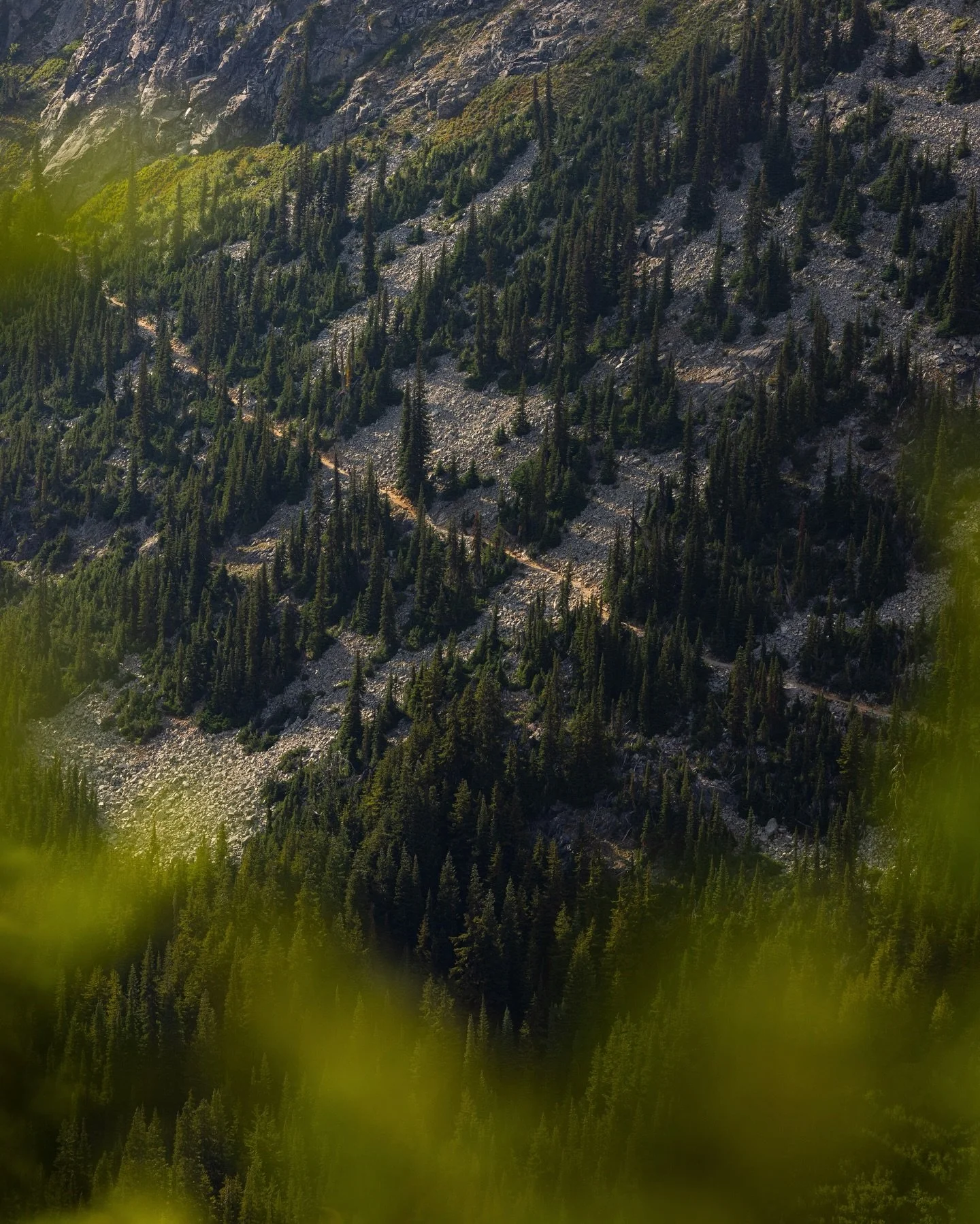 A visible path // Following long, open pathways along the ridges of hidden mountain valleys while exploring the North Cascades.

Overlooking all the light touches ☀️ like quiet alpine lakes, wrapped in wild, and untouched terrain. In the distance, th