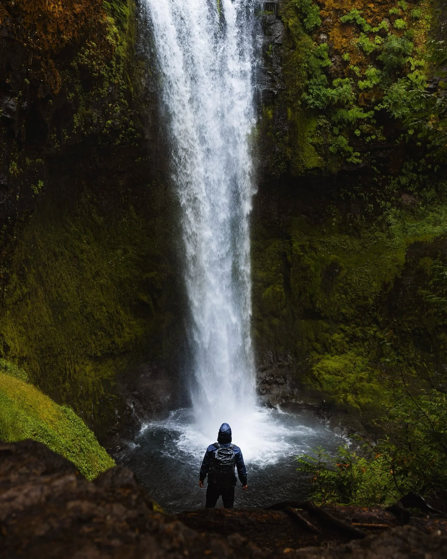 Perfect conditions // I don&rsquo;t think I could&rsquo;ve asked for anything better than what @cam_barnard and I got this day, conquering this absolute beast of a waterfall in moody Oregon. 🌿

I mean&hellip; come on. Lush greens, light rain, dreamy
