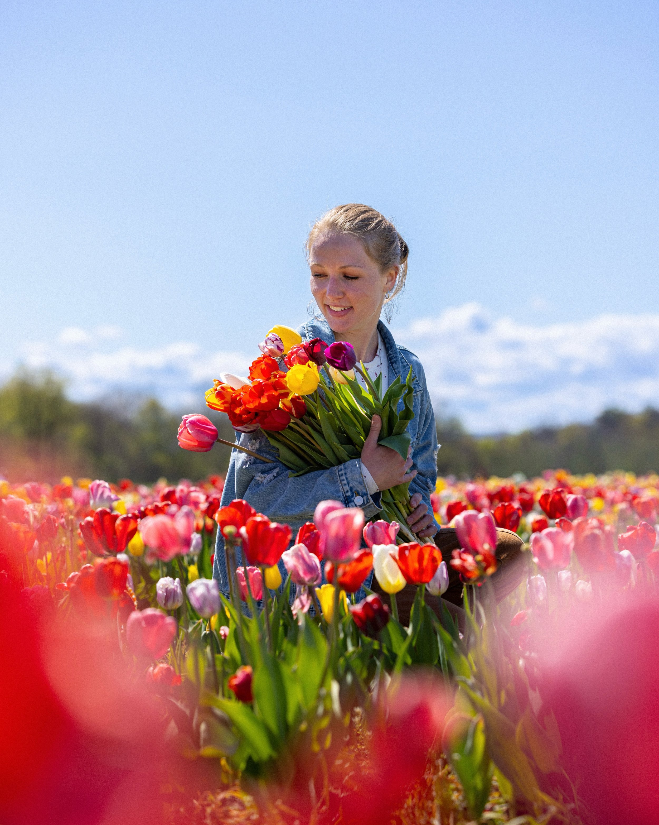 Tulips all over // The season of Tulips is one of my favorite parts of Spring because of all the colors and varieties that come with them. 🌷

This one of my new local favorites, a little spot located on the outskirts of the Catskill mountain region,
