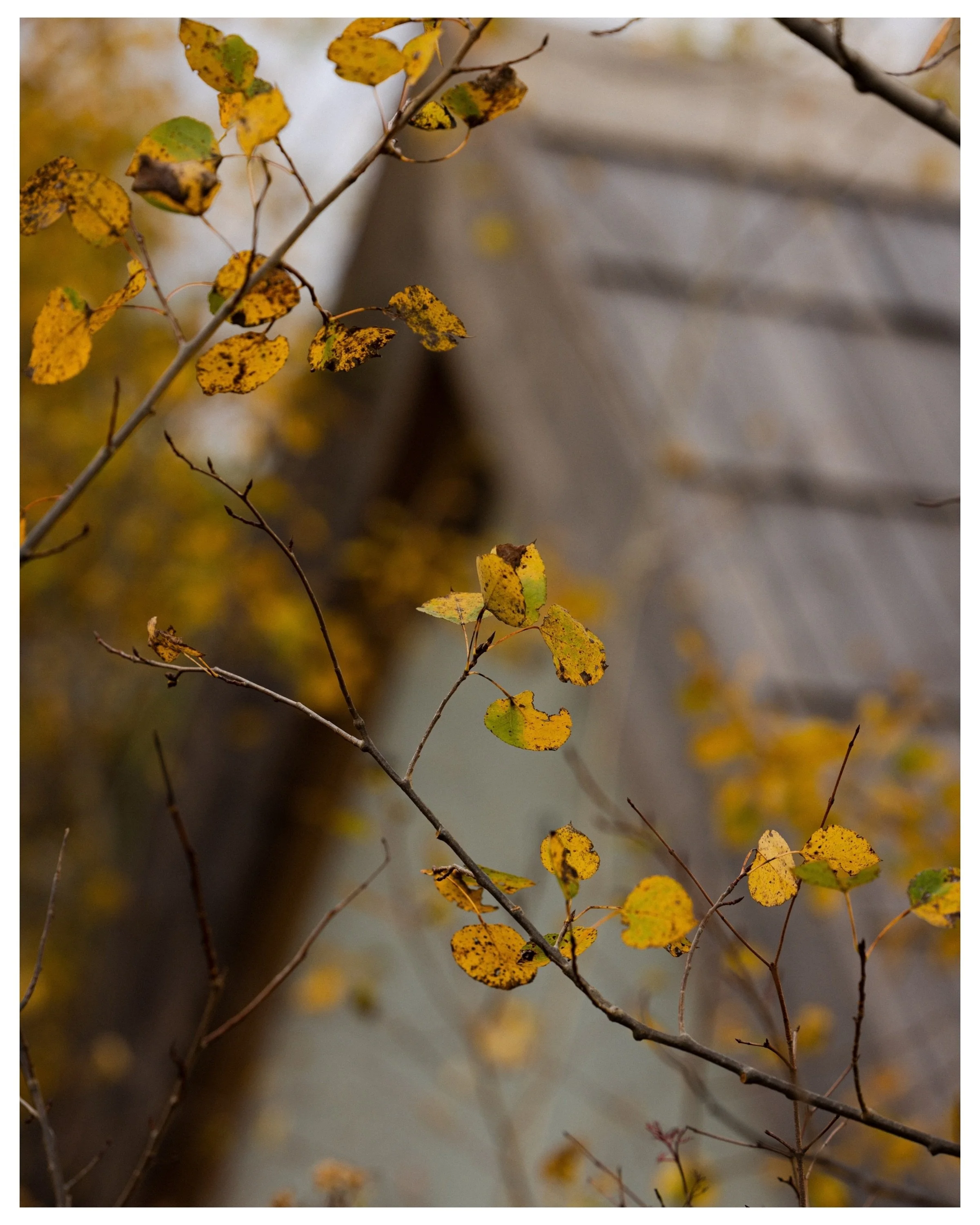 Fall&rsquo;s a commin // With each passing day of what feels like the fastest year of my life, the approaching of a true Fall is coming, and I can&rsquo;t wait for what&rsquo;s more to come in the coming weeks 🍂