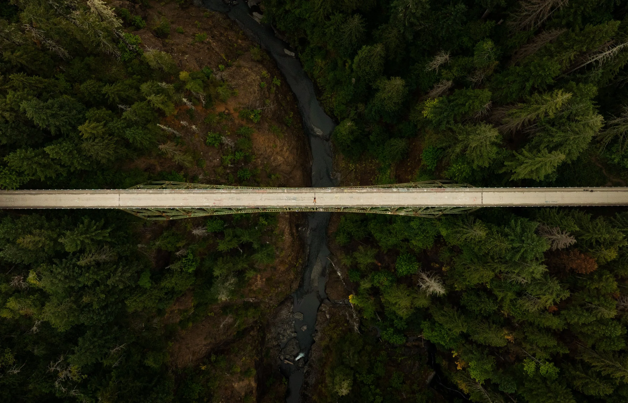 DJI_0782.jpg