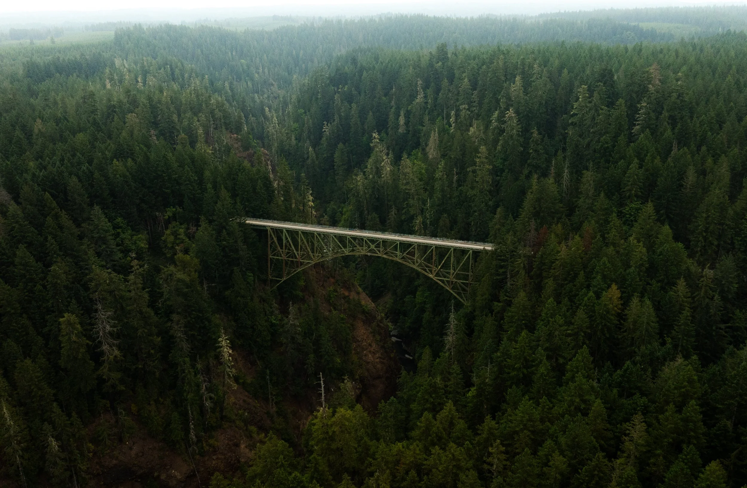 DJI_0766.jpg