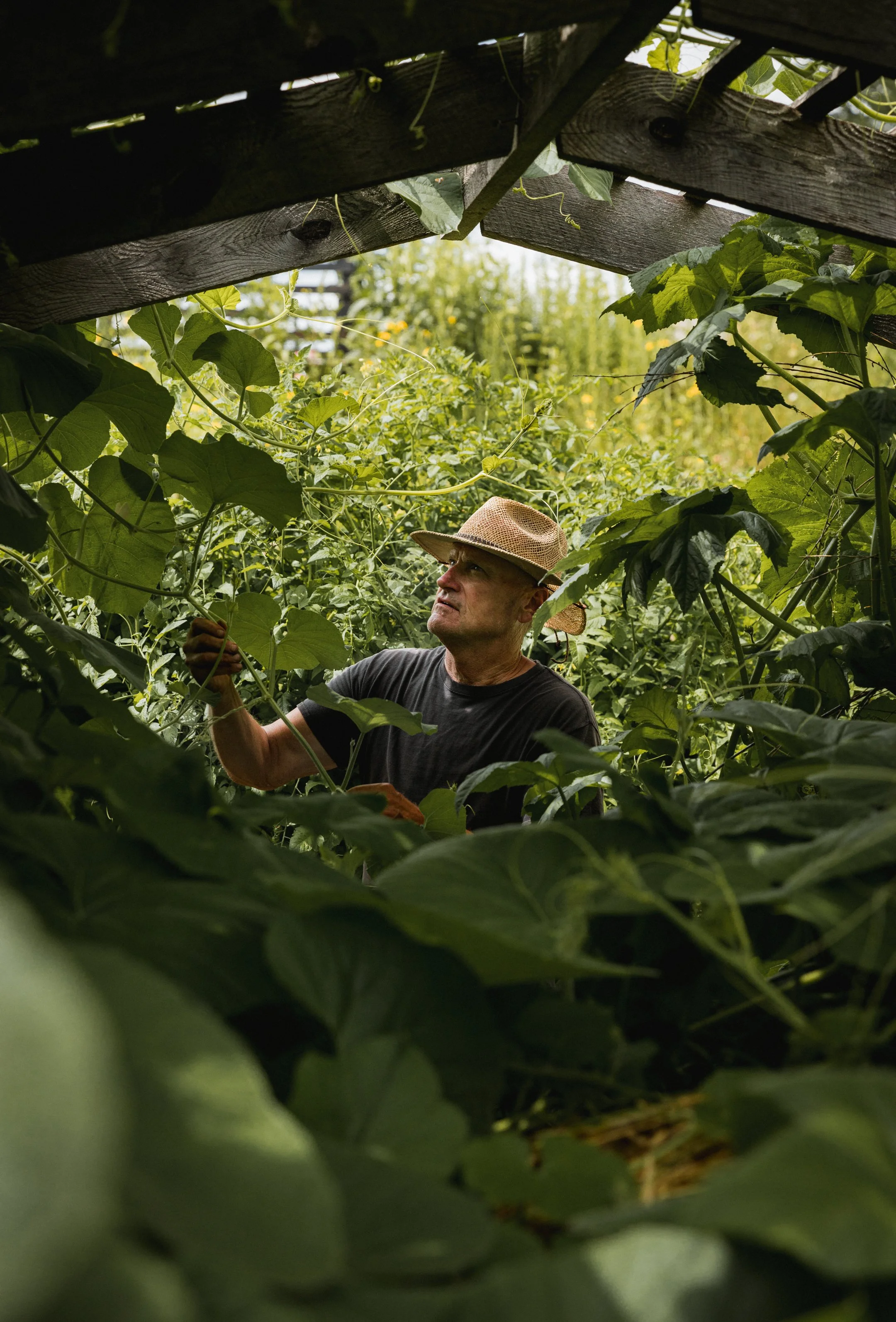 GardenAndrewAugust 11, 2022.JPG