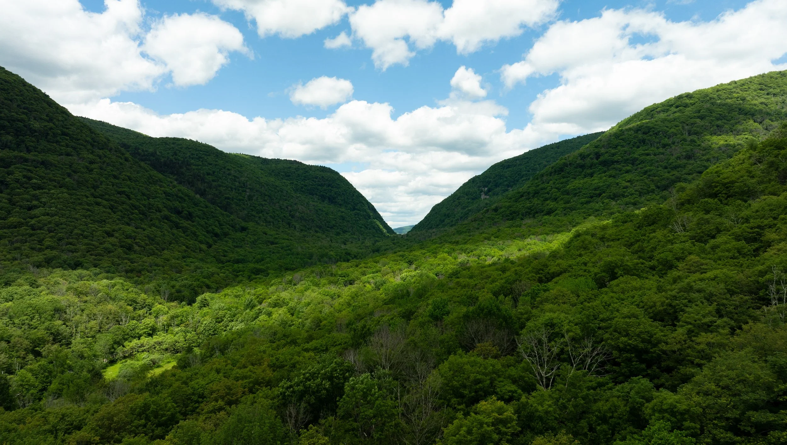 DJI_0240.jpg