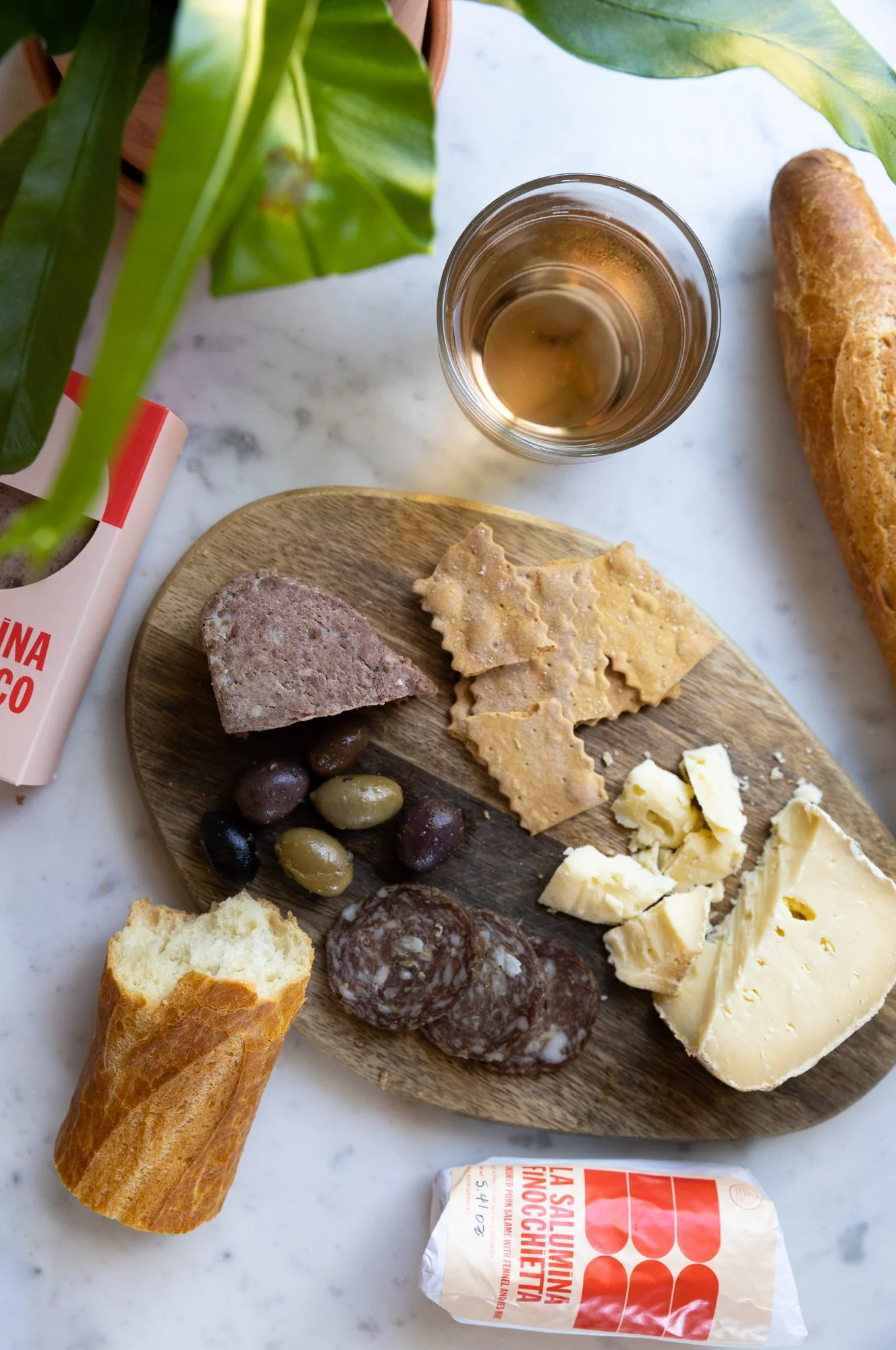 FellowAugust 04, 2022-4.JPG