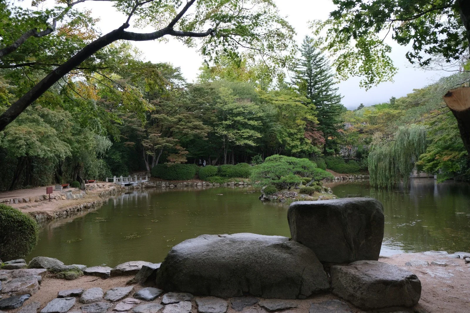 DSCF2588.jpg