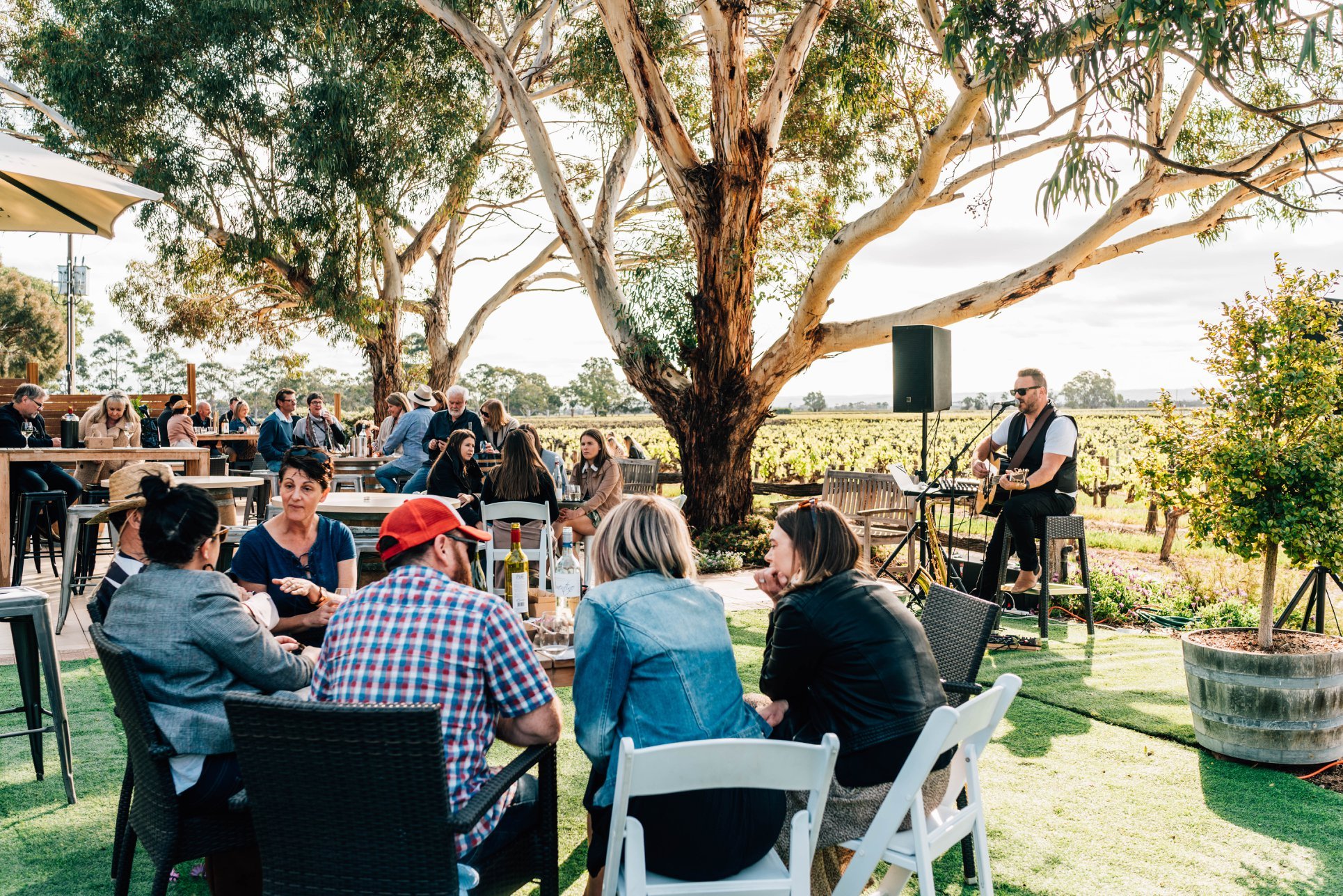 The Home of Handpicked Festival - Lake Breeze Wines 3.jpg