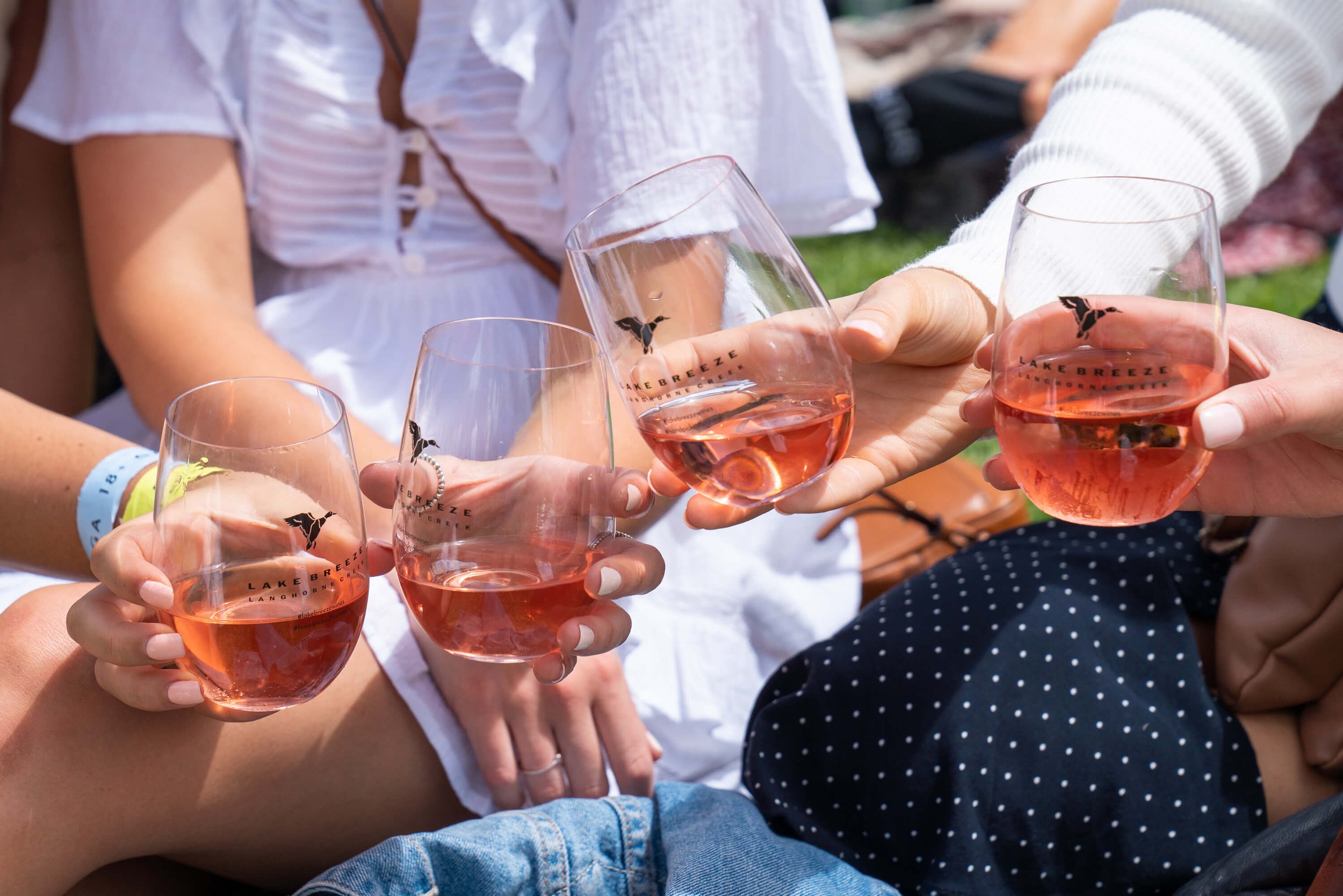 Handpicked Festival The Cocktail Forest 5 Lake Breeze Wines.jpg