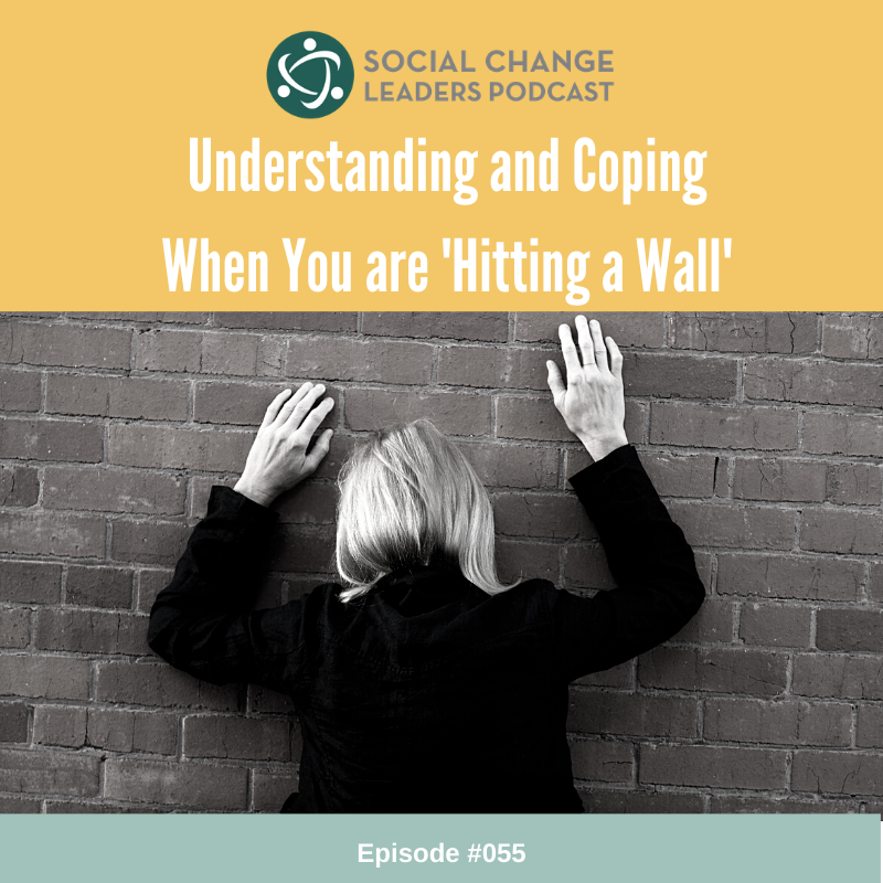 Episode #055: Understanding and Coping When You are ‘Hitting a Wall’