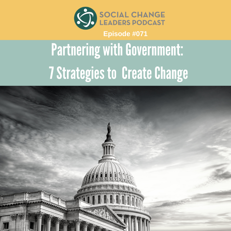 Episode #071: Partnering with Government: 7 Strategies to Create Change