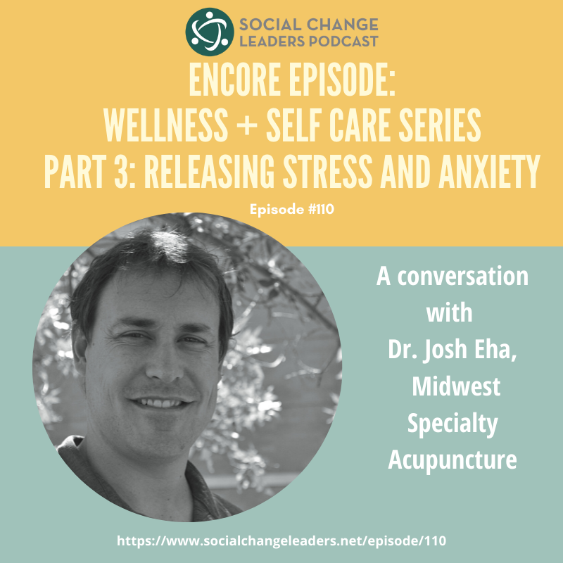 Ep. #110: Encore Episode: Wellness + Self Care Series: Releasing Stress and Anxiety Wellness + Self Care Series
