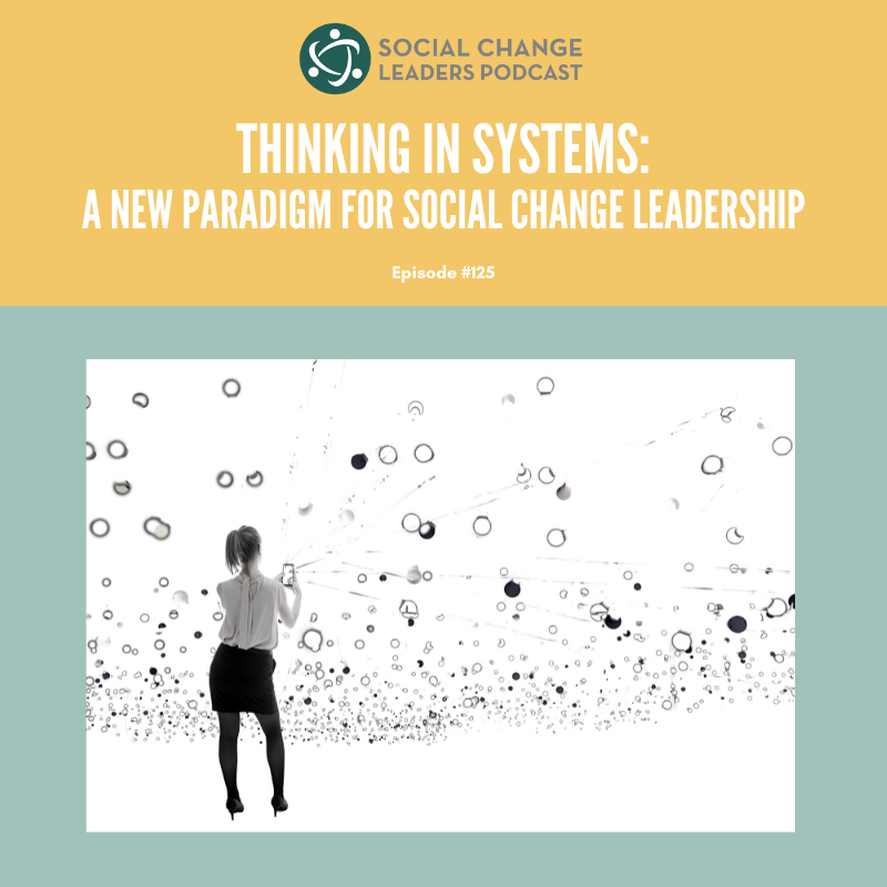 Ep. #125: Thinking in Systems: A New Paradigm for Social Change Leadership